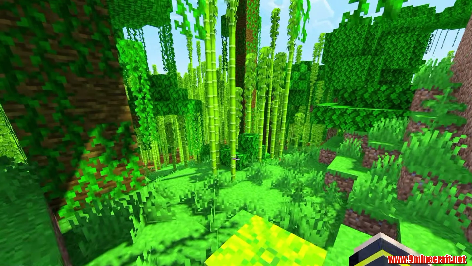 Bamboo jungle filling the island interior