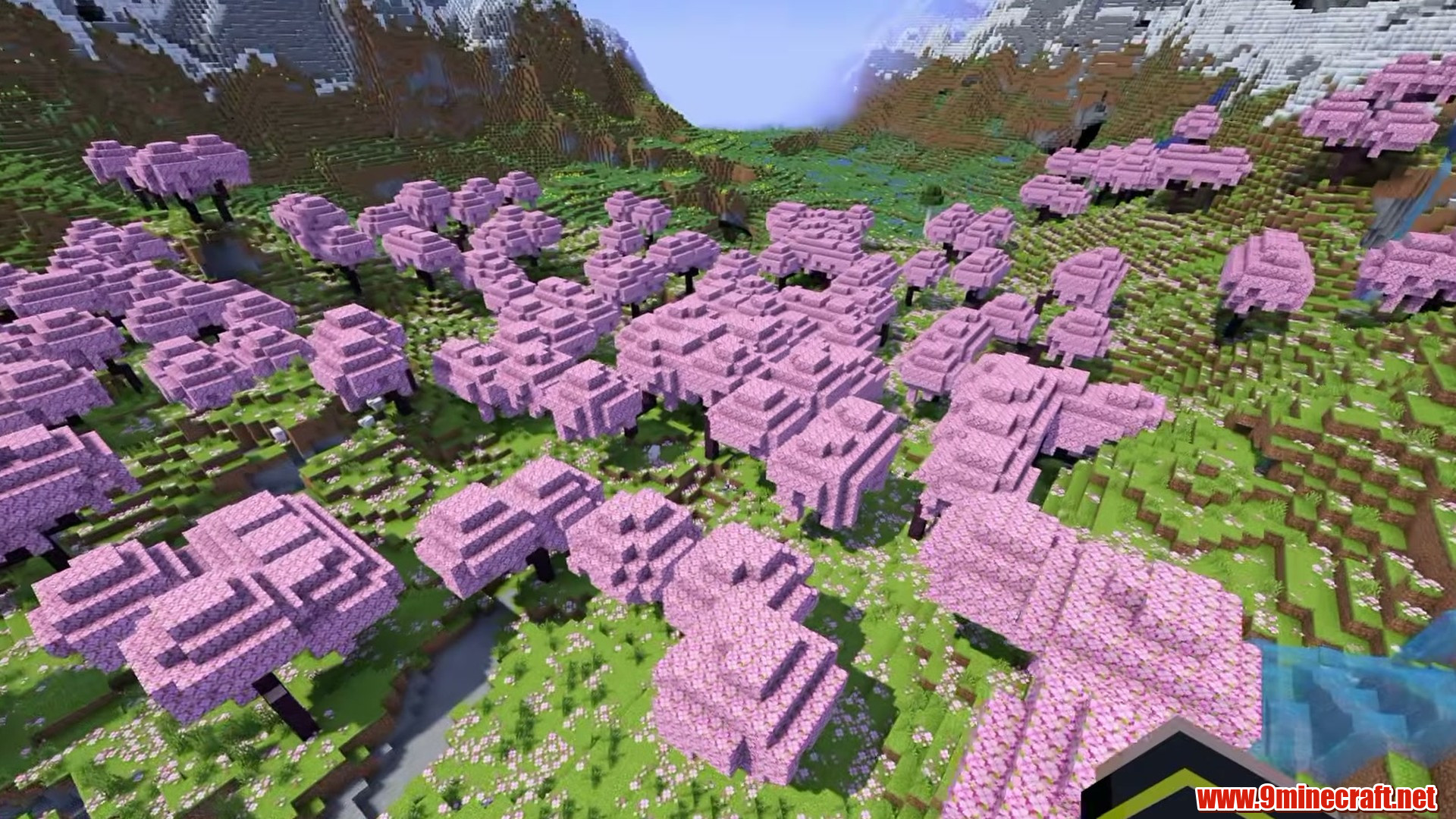Cherry grove spawn beneath mountains in Minecraft seed 6316880426
