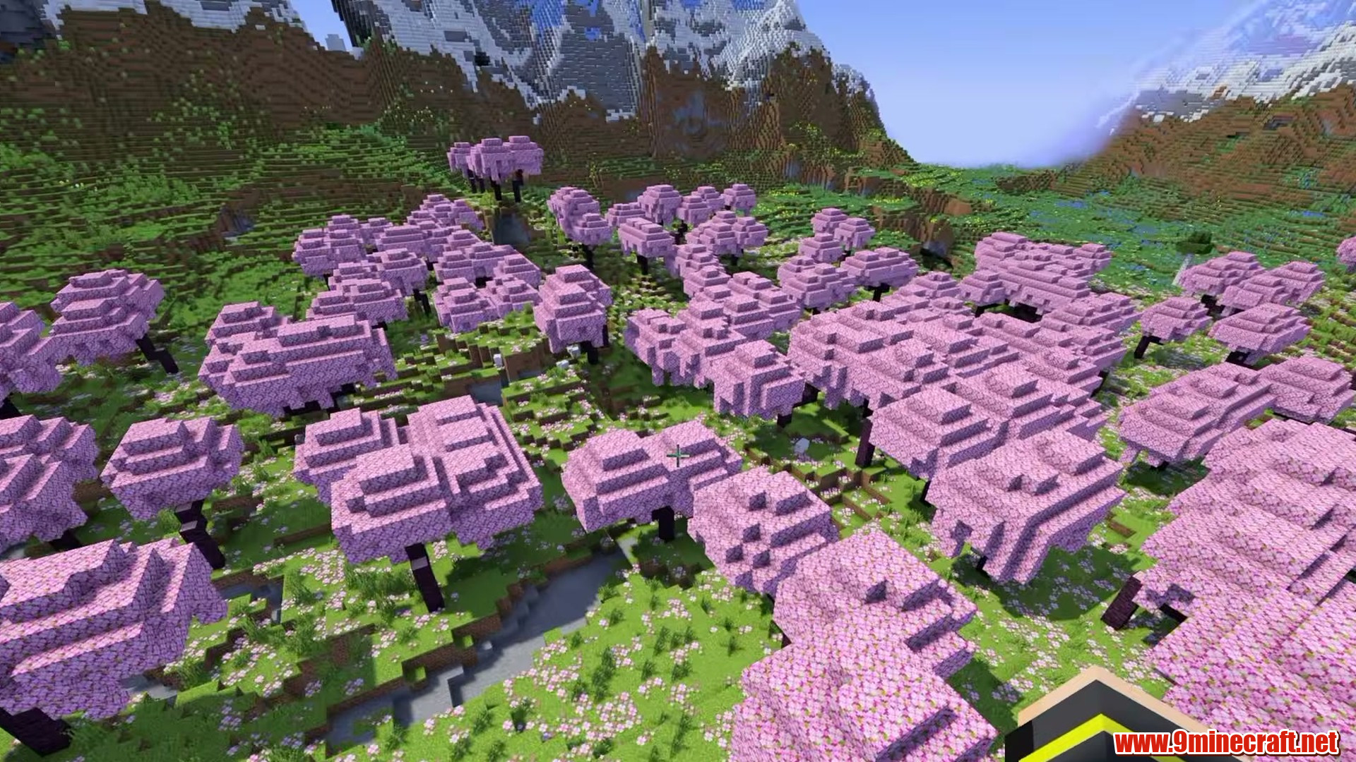 Mountain slopes above the cherry grove spawn