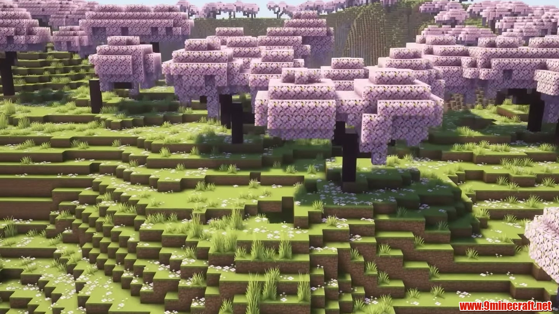Cherry grove terrain surrounding the rare outpost spawn
