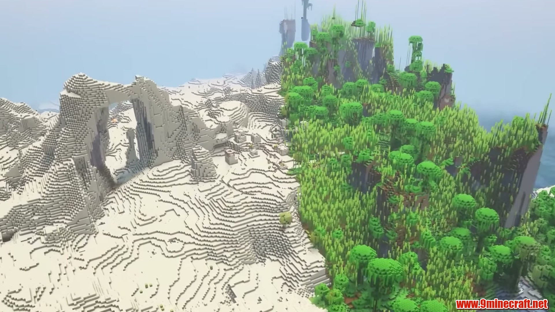 Wide view of the desert ridge and dense bamboo biome border