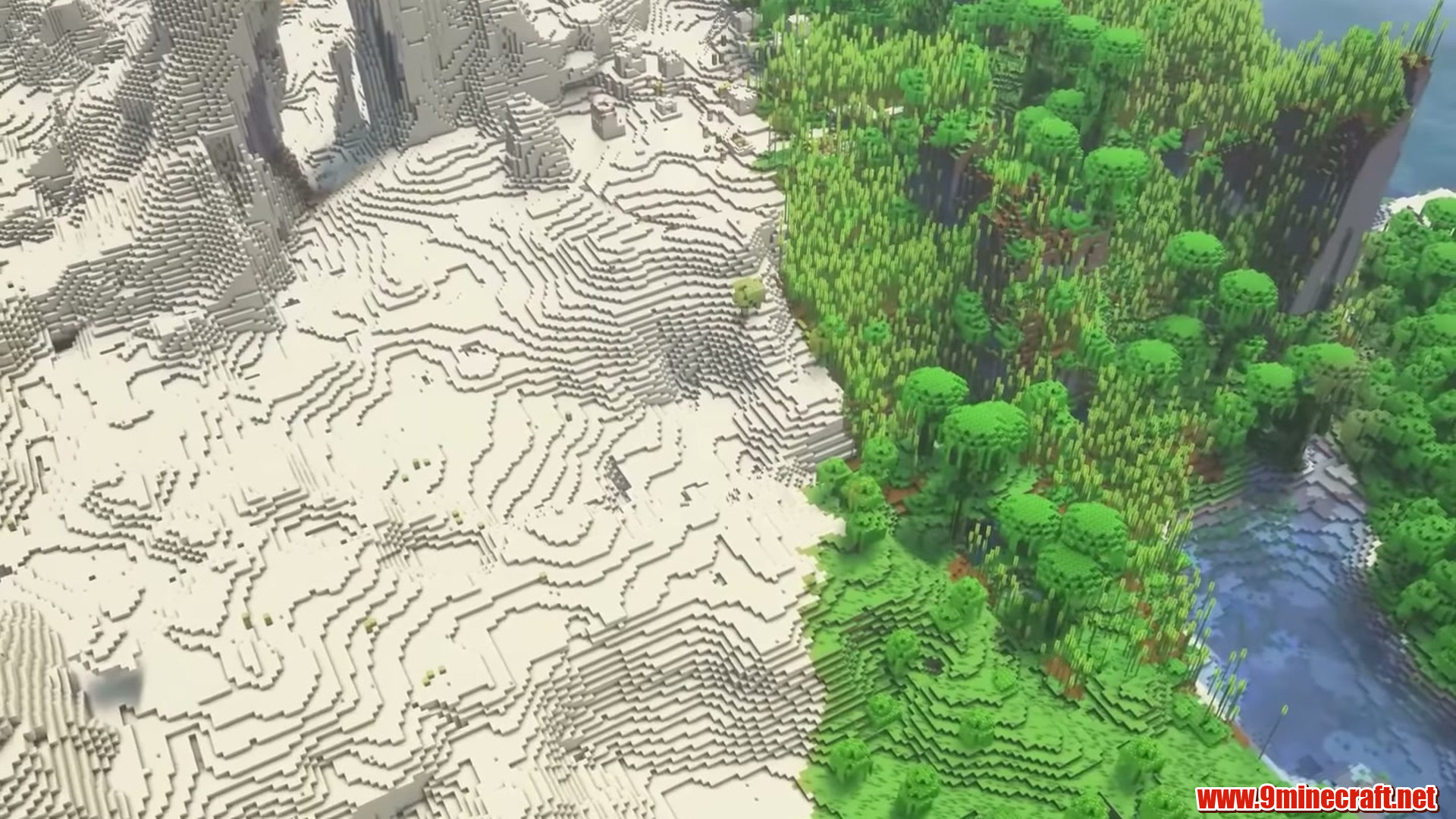 Aerial view of contrasting desert and bamboo jungle terrain near spawn