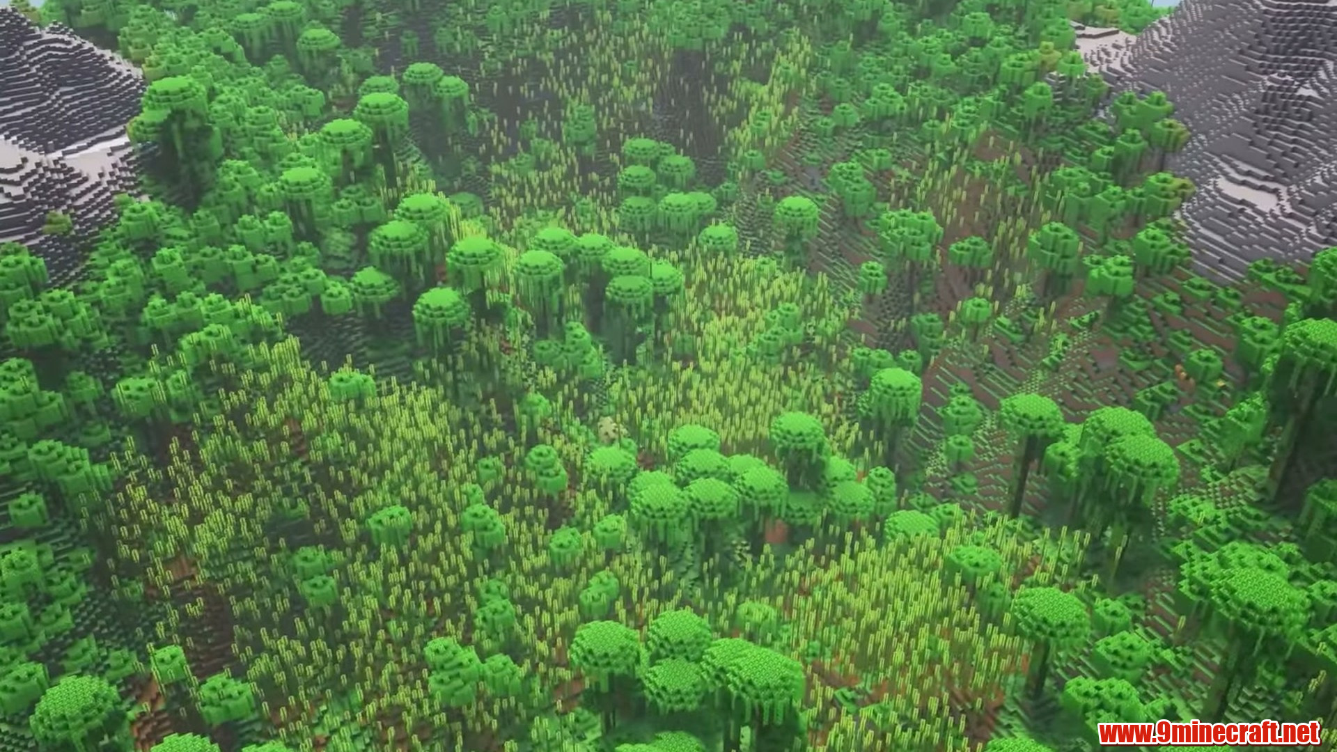 Endless bamboo jungle valley in Minecraft seed 694269426944912582