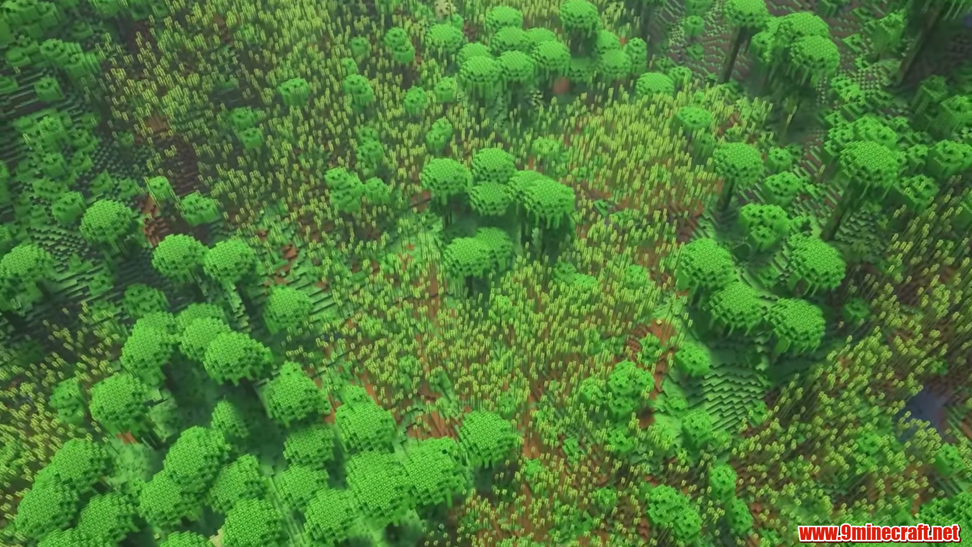 Wide aerial view of the green bamboo valley near spawn
