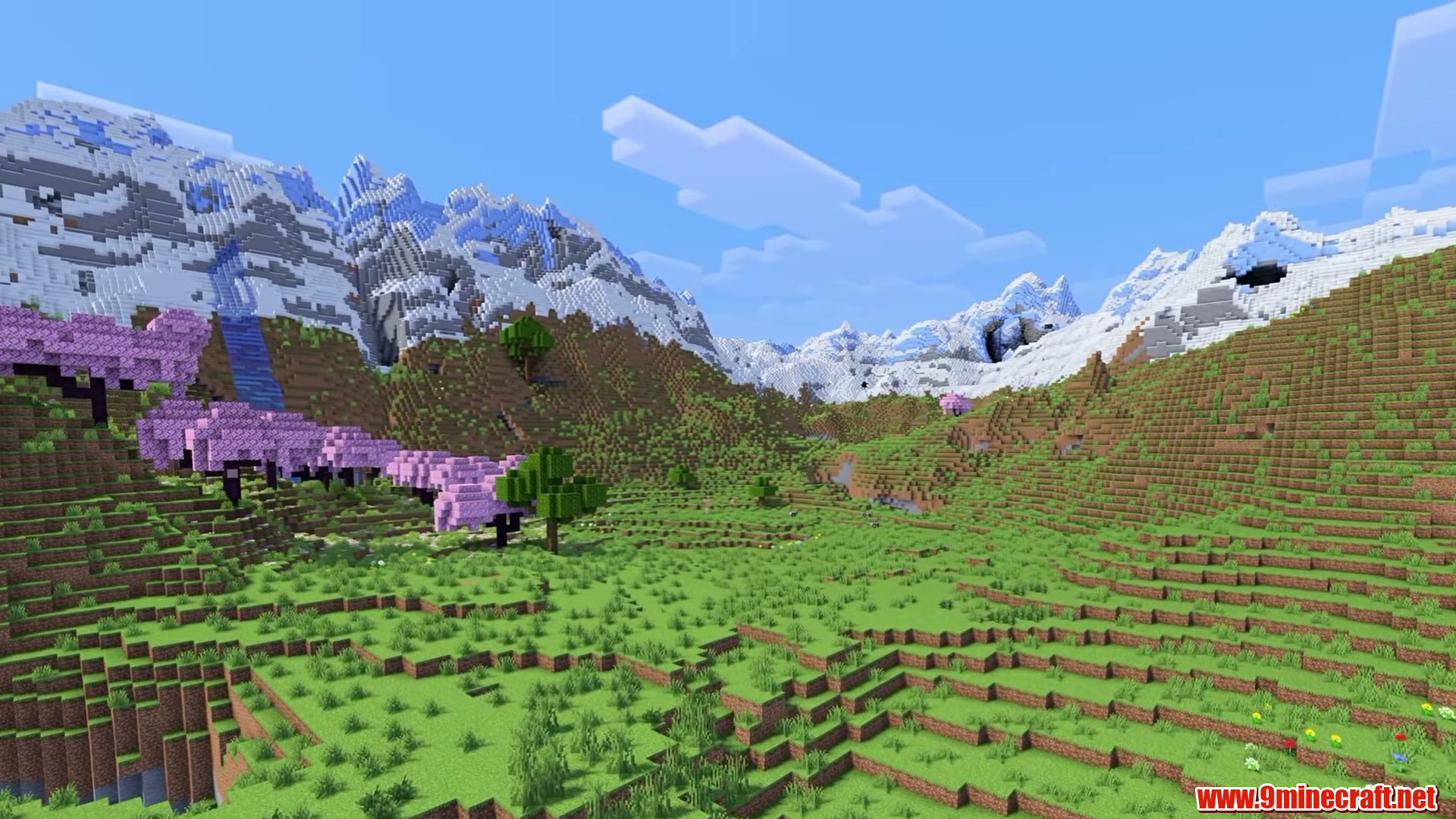 Cherry blossoms above the mountain valley