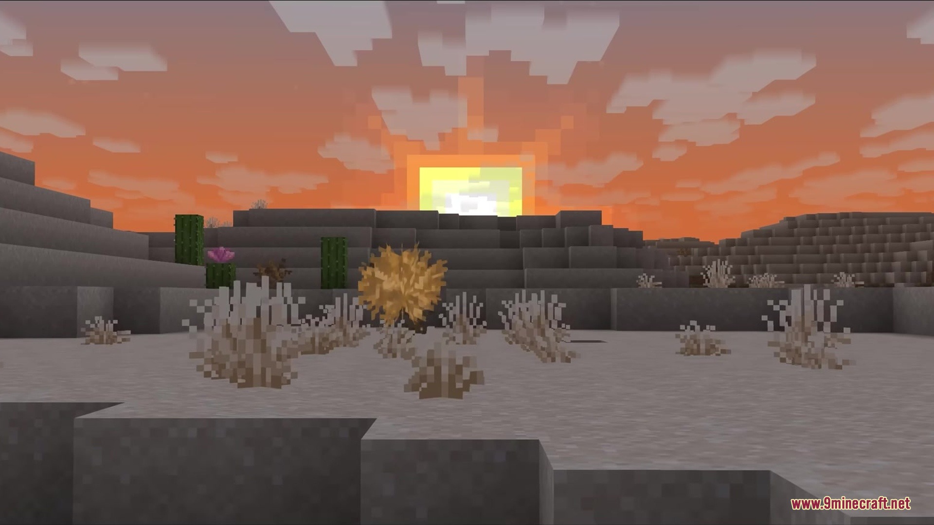 Tumbleweeds Mod Screenshot 1 The Tumbleweeds Mod adds rolling plants to desert biomes during a scenic sunset