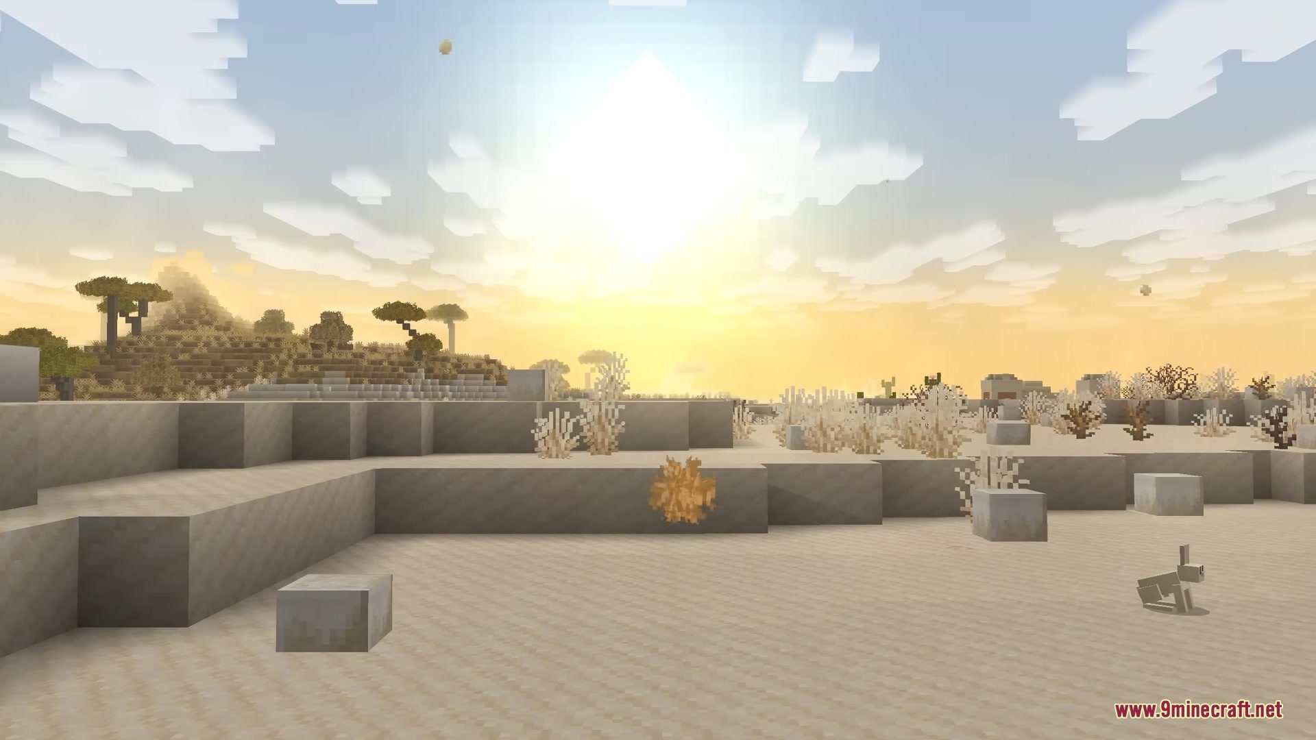 Tumbleweeds Mod Screenshot 3 A tumbleweed rolls across the dry desert biome during a bright golden sunset