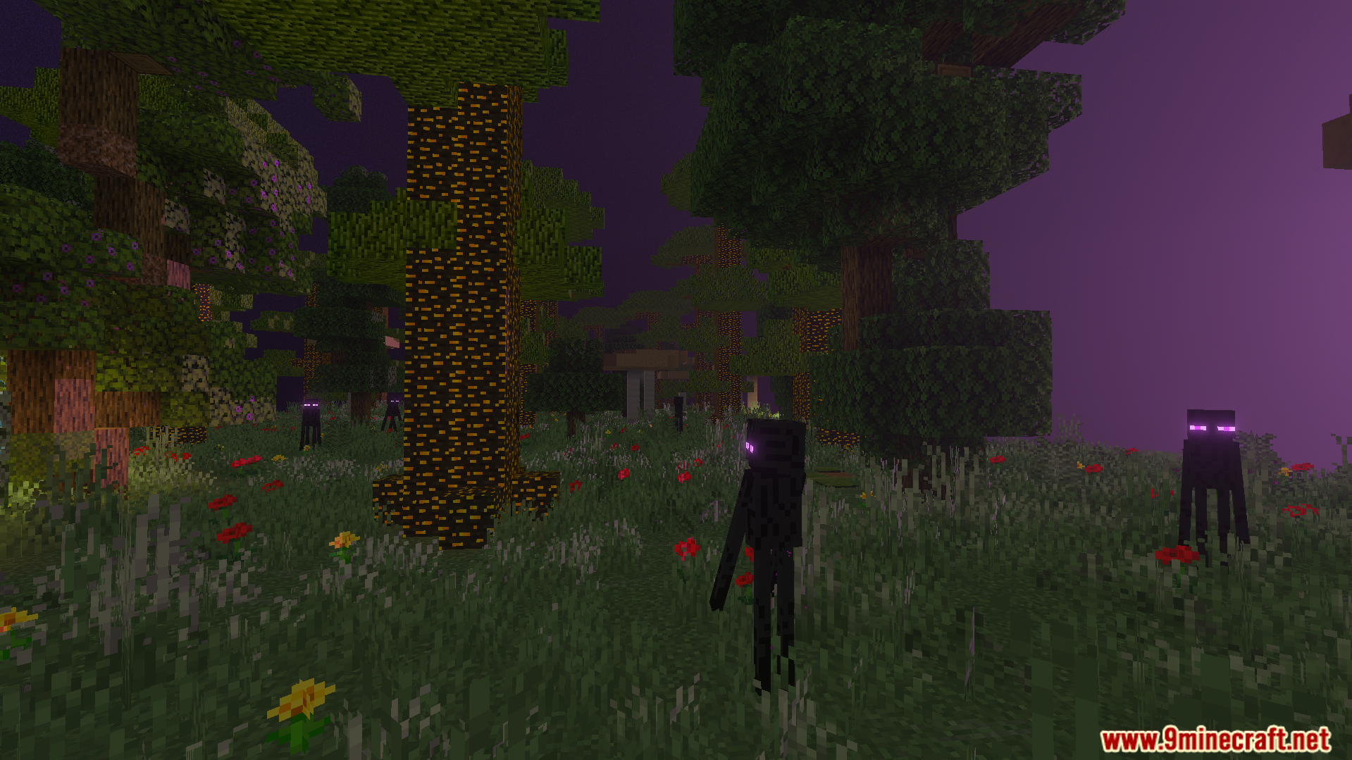 Twilight Abyss Dimension Addon Screenshot 9 Endermen roaming the Umbra Birch biome with glowing trees and purple sky