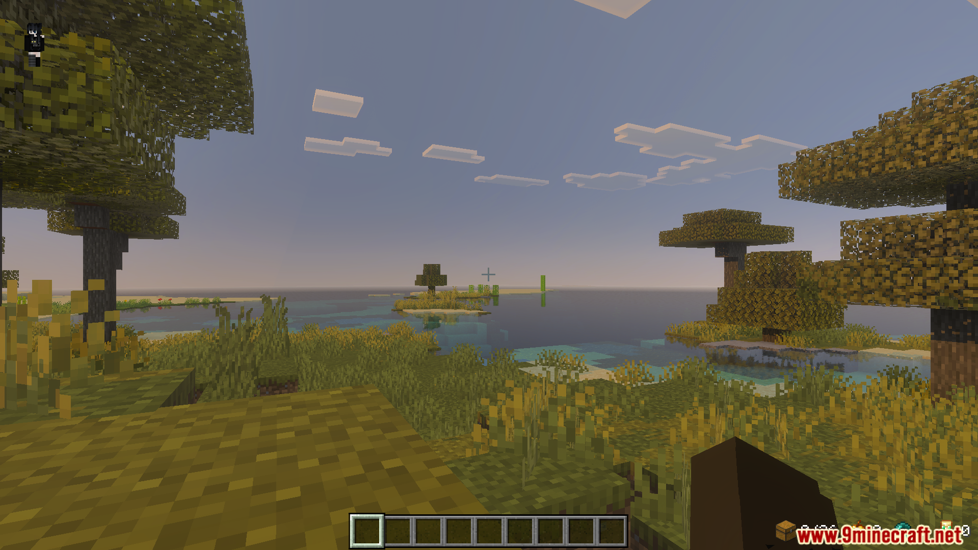 Minecraft savanna biome view with acacia trees and water under a clear sky