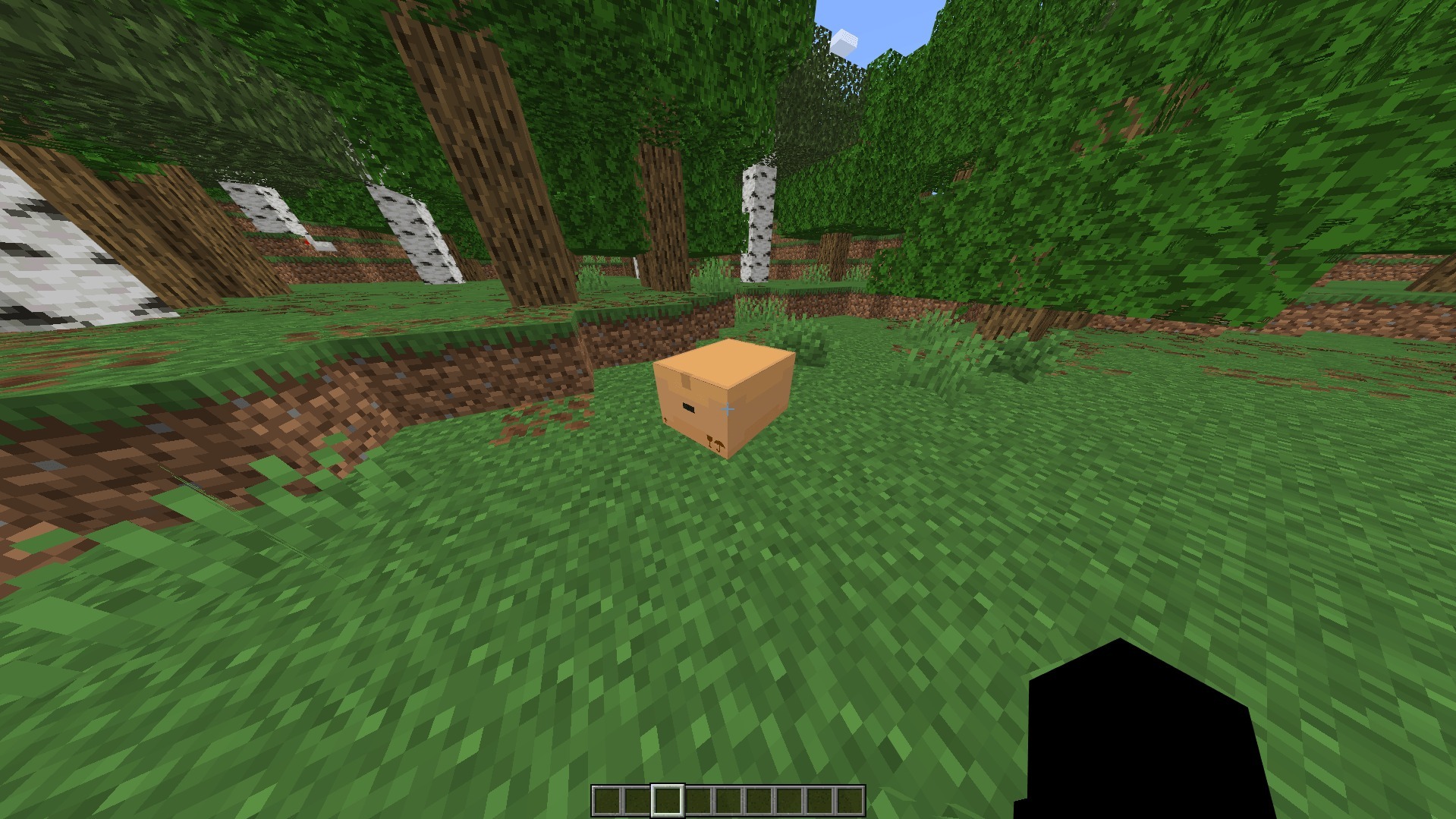 Verity Addon Screenshot 2 A small cardboard box sitting on the grass in a forest with birch trees