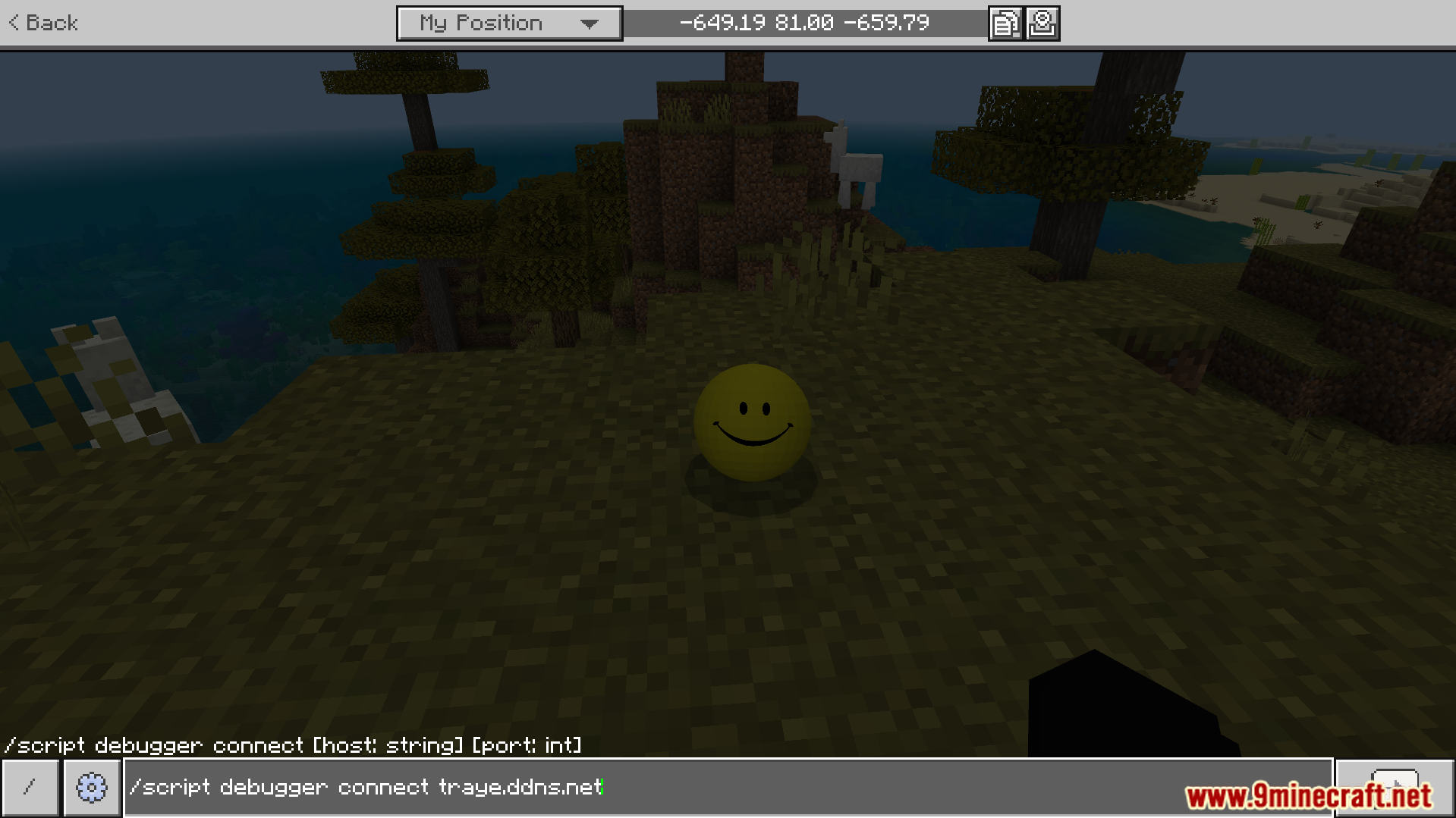 Verity BE Addon Screenshot 5 Player typing a script debugger command to connect the yellow companion