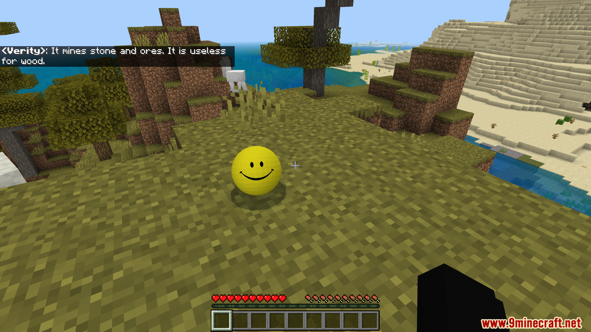 Verity BE Addon Screenshot 9 Verity BE Addon features a yellow companion that responds to player messages