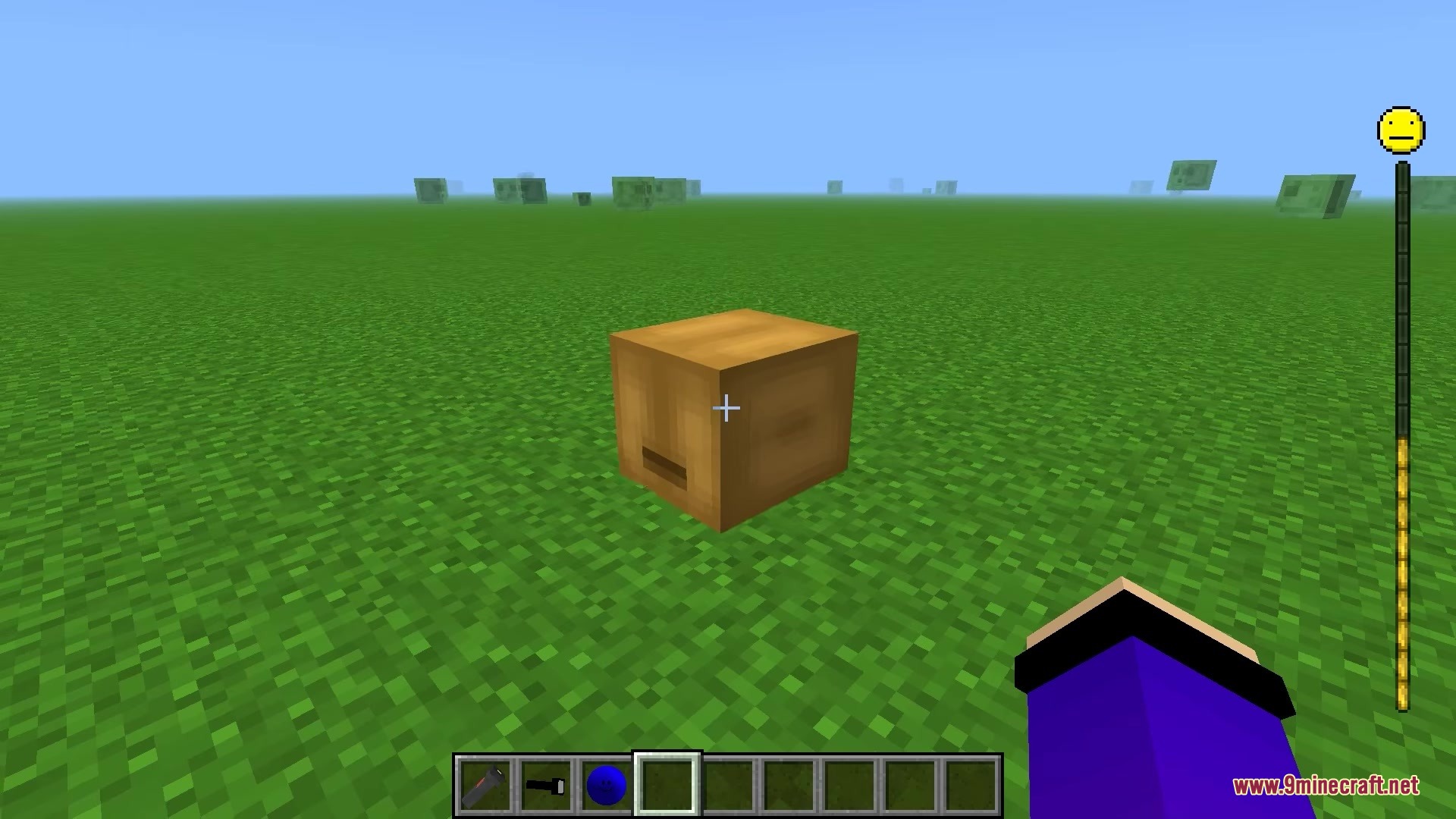 Verity JE Mod Screenshot 1 The Verity assistant box sits on a flat green grass field in Minecraft