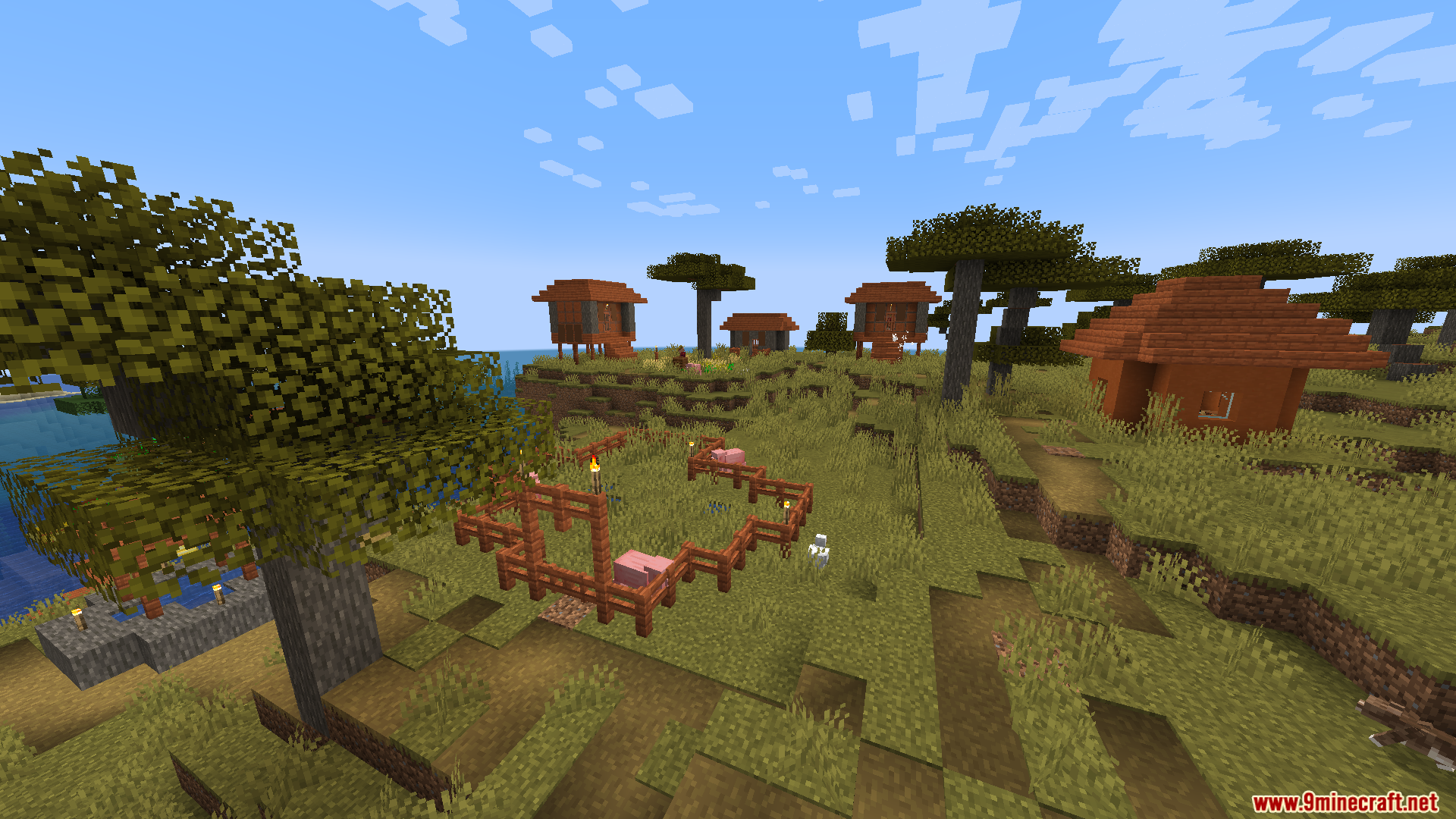 Villagers Plus PT BR Translation Resource Pack Screenshot 10 Pigs roam inside a fenced enclosure surrounded by acacia trees and houses