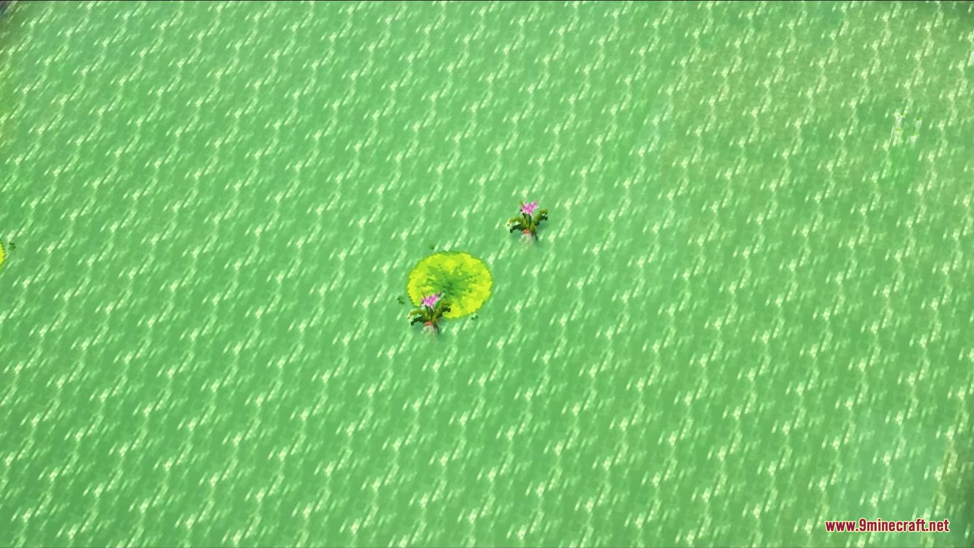 Visualhealth Mod Screenshot 1 Top down view of green swamp water with lily pads and pink flowers