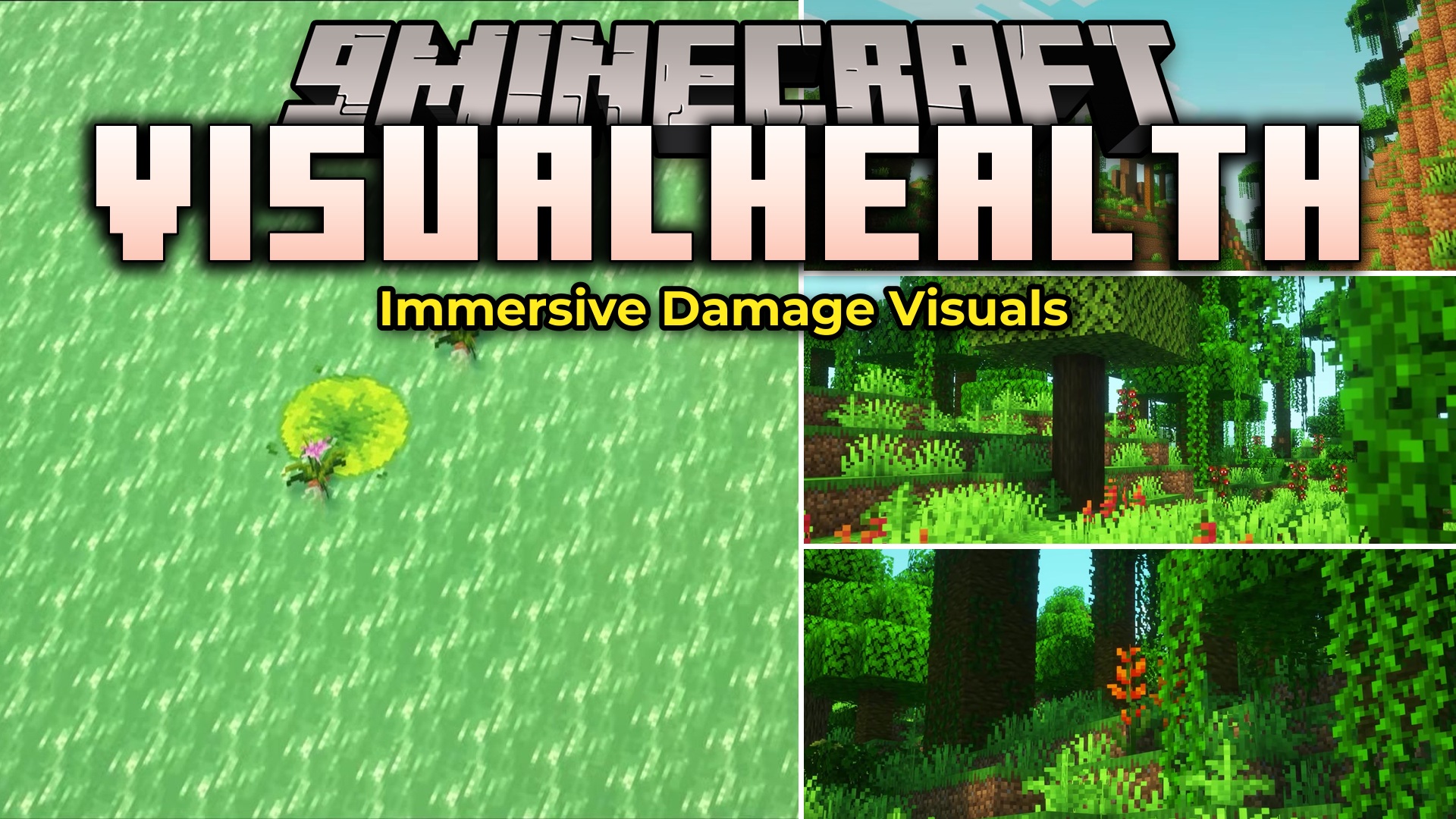 Visualhealth Mod