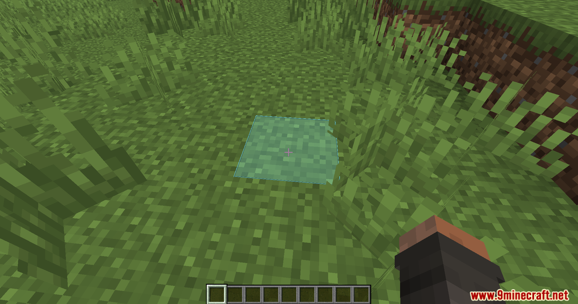 WWaypoints Mod Screenshot 3 A blue block highlight marks a specific spot in the Minecraft world
