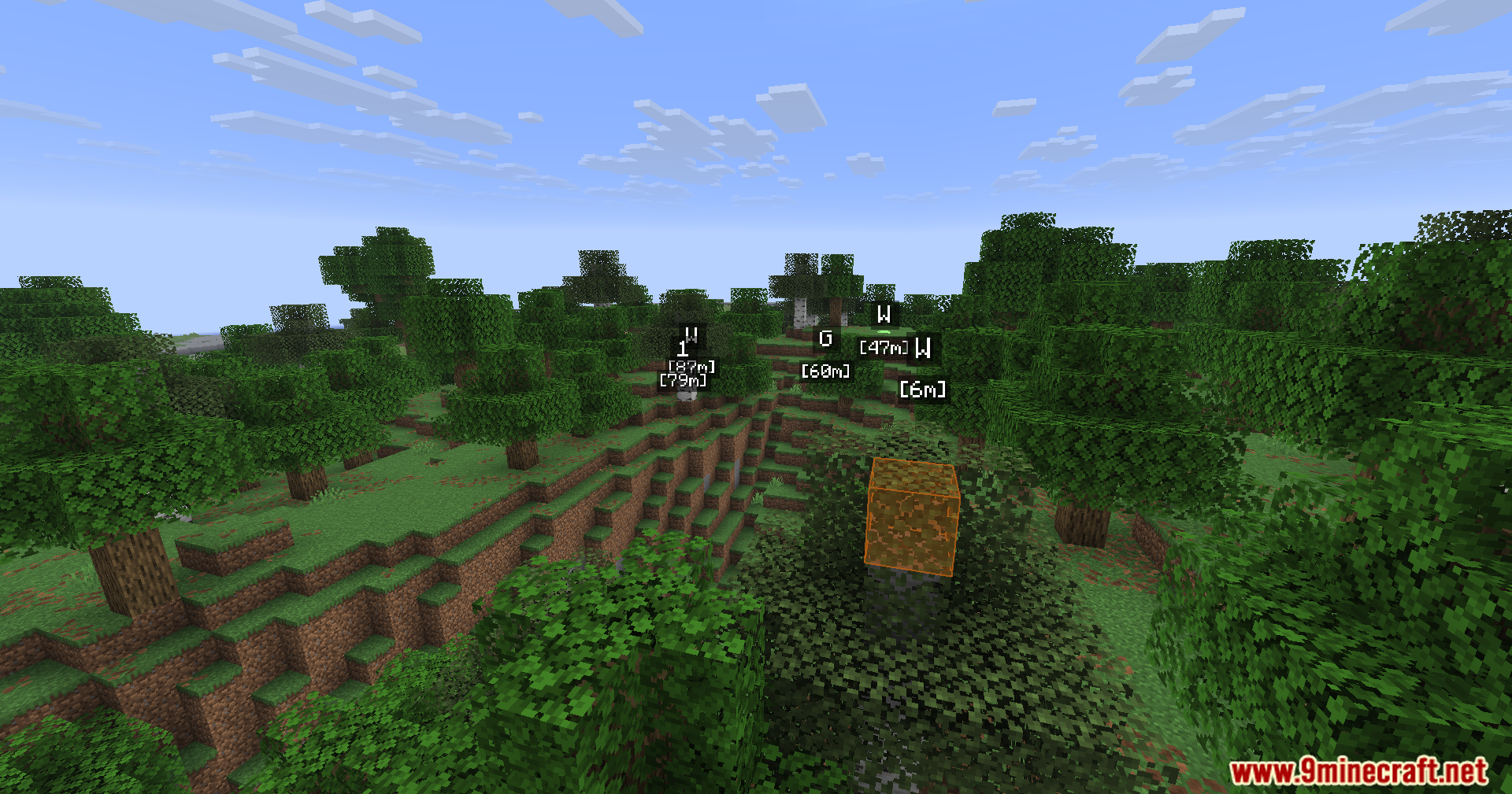 WWaypoints Mod Screenshot 5 Floating waypoint markers and a highlighted block in a Minecraft forest landscape