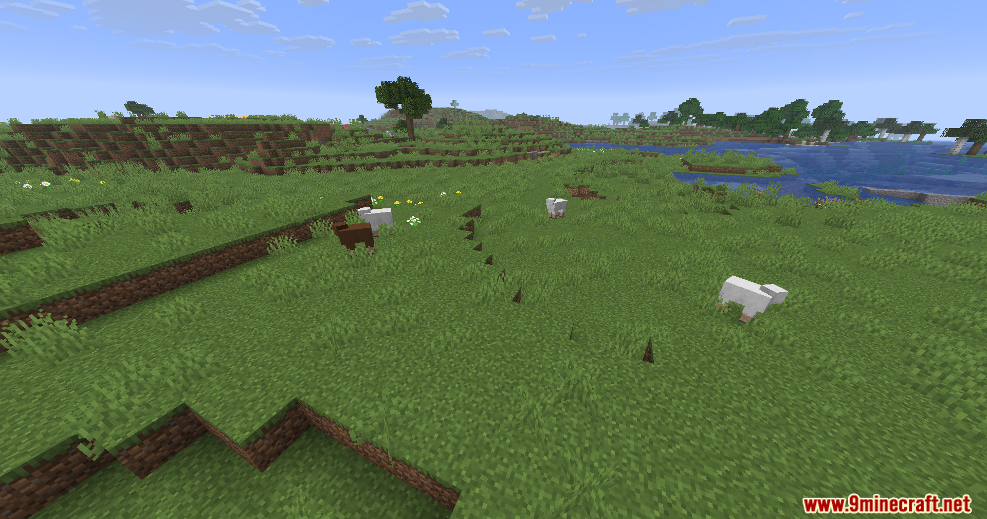 WayGL Mod Screenshot 9 White and brown sheep grazing on a grassy field in Minecraft