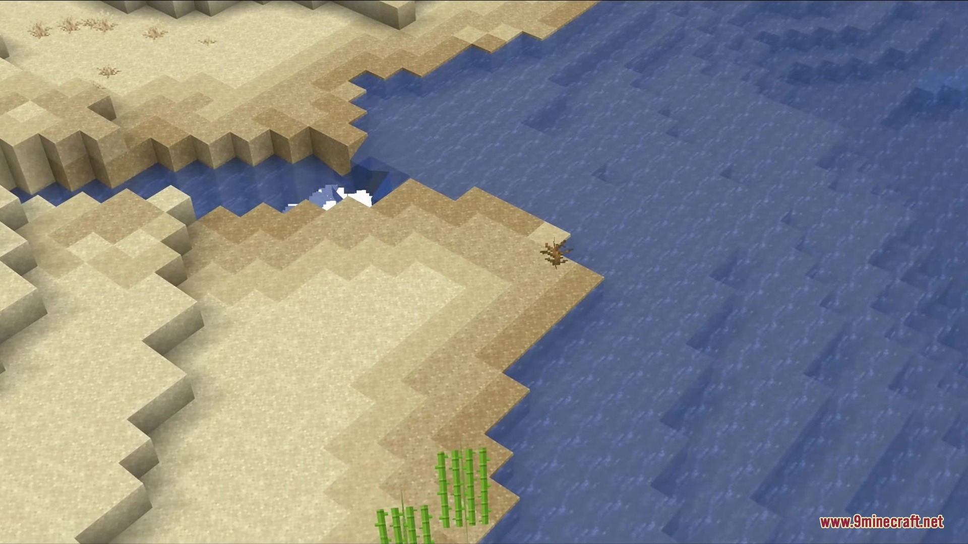 Wet Sand Mod Screenshot 2 Sugar cane plants growing on damp sand blocks near a water source