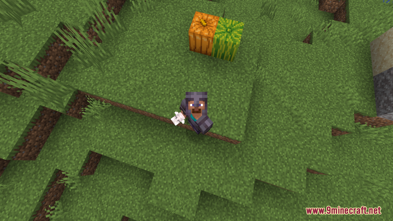White Girlfriend Totem of Undying Resource Pack Screenshot 10 Top view of a player in netherite armor holding a custom totem item