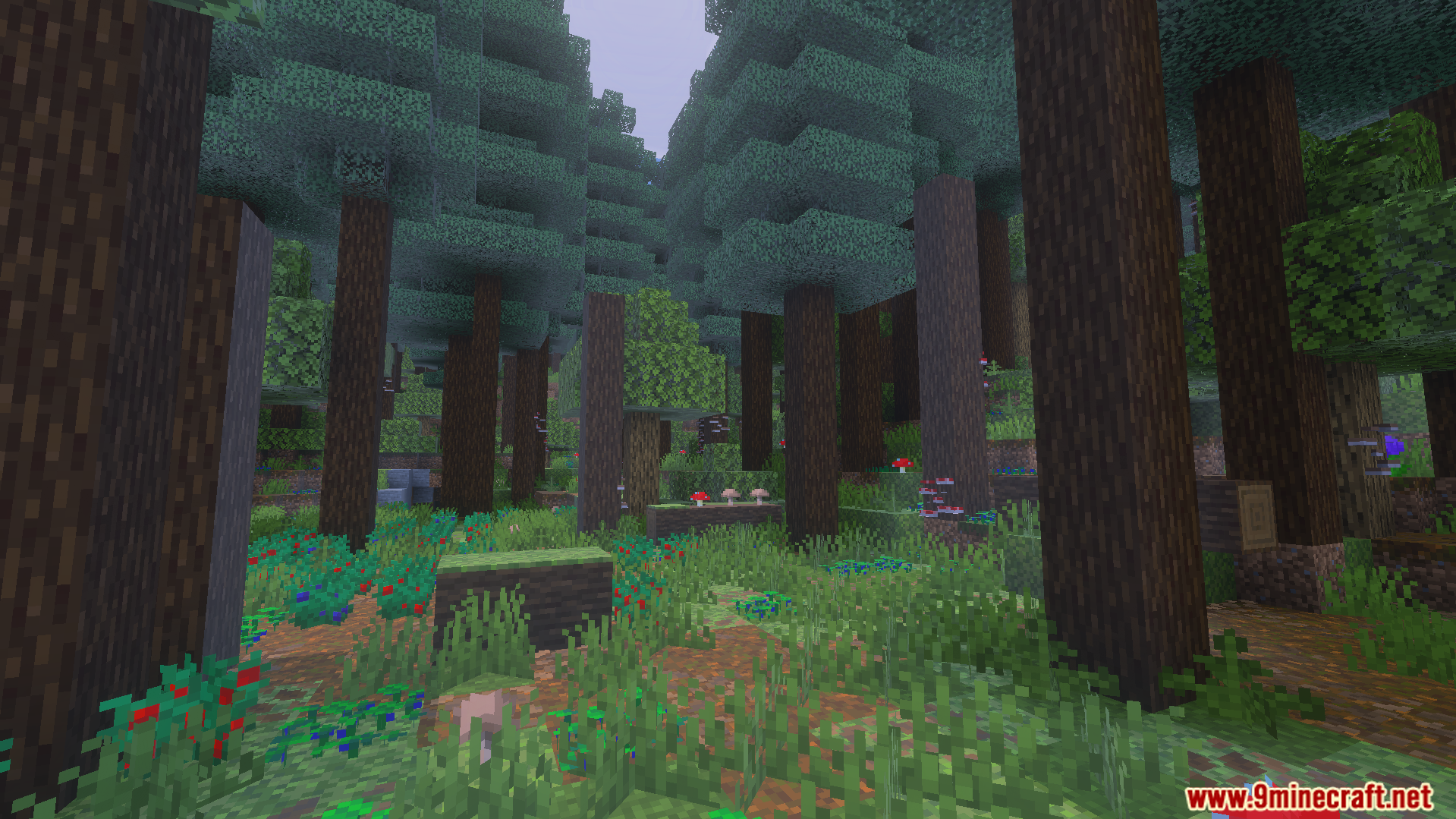 Wild Expansion Addon Screenshot 10 Dense forest biome featuring tall trees mushrooms and colorful plants on the ground
