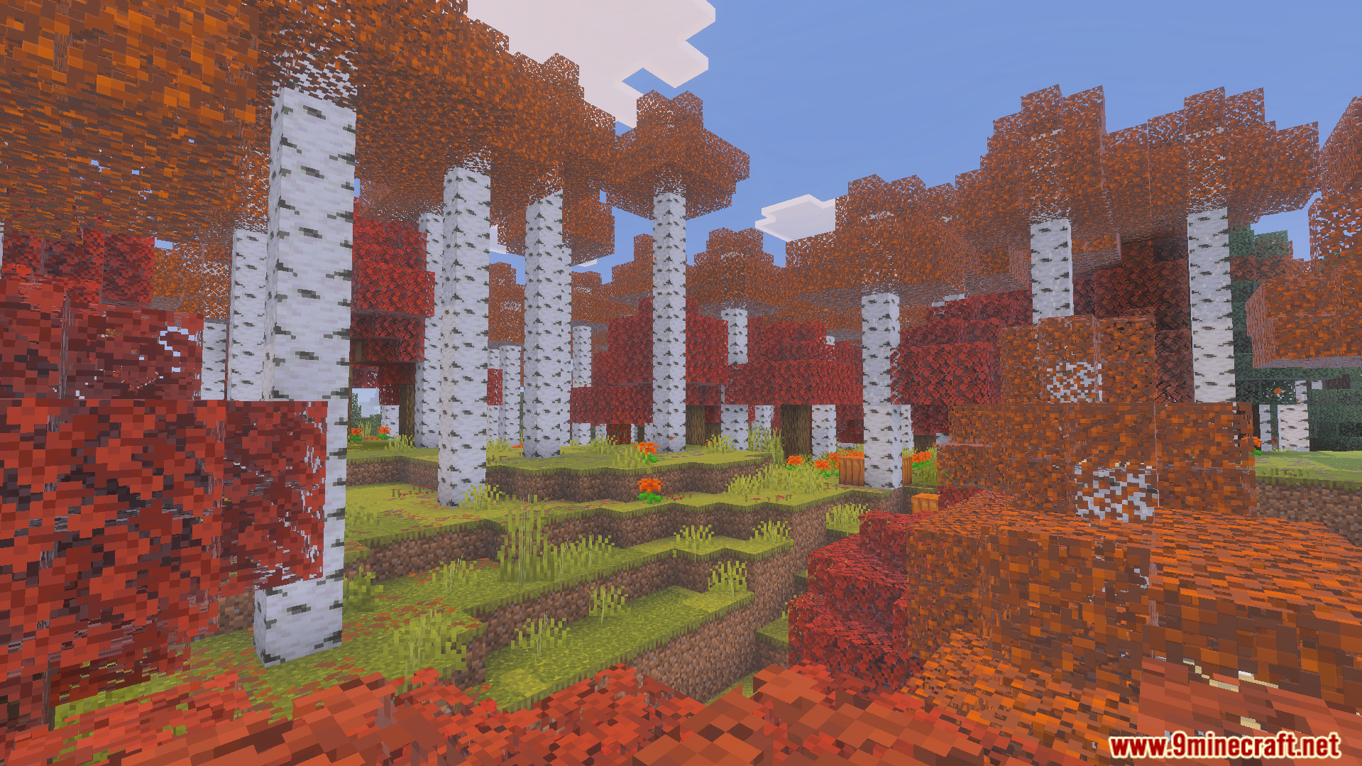 Wild Expansion Addon Screenshot 7 Wild Expansion Addon features a birch forest with vibrant orange and red leaves