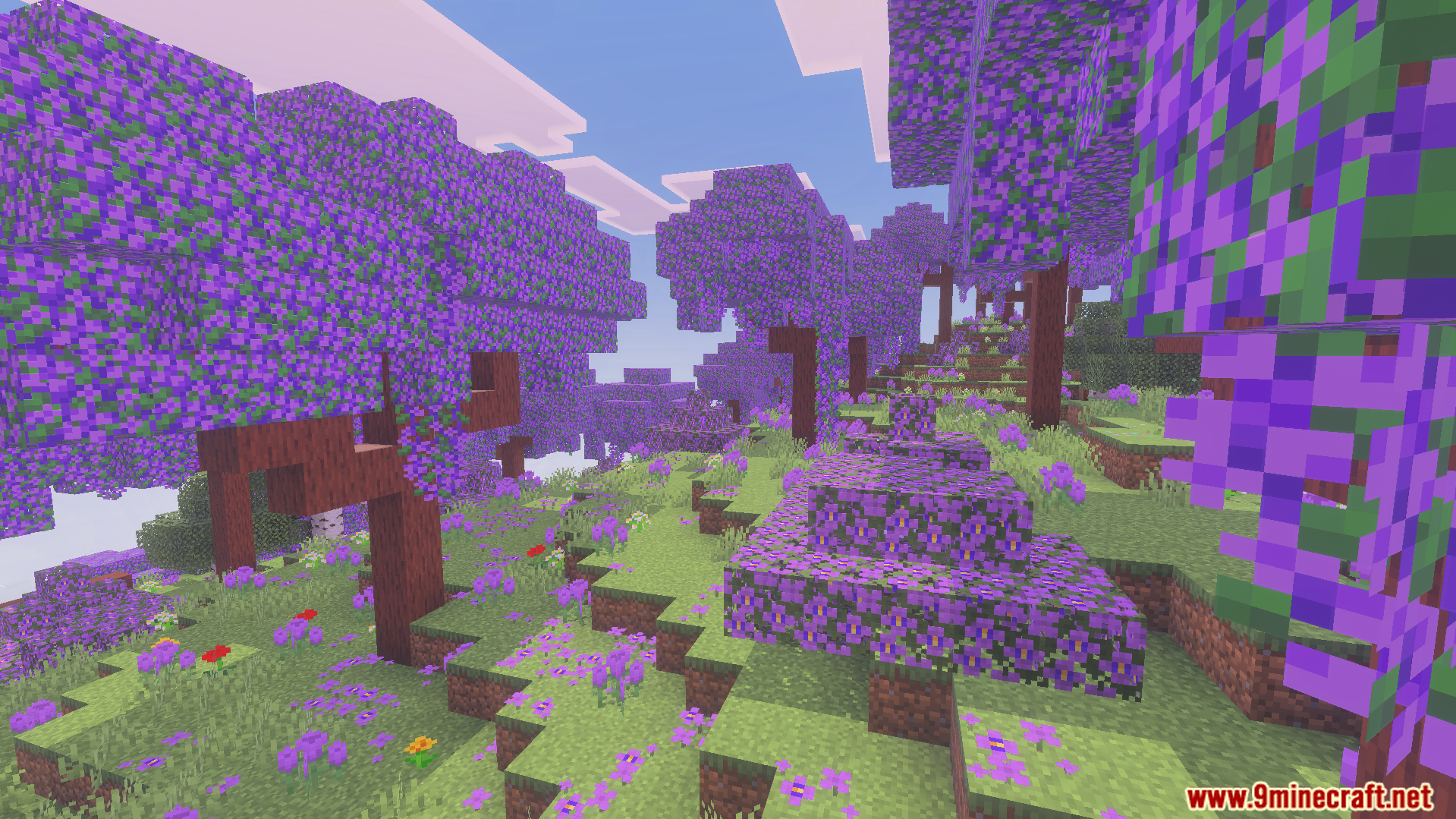 Wild Expansion Addon Screenshot 9 Vibrant purple forest biome with flowering trees and colorful petals on the ground