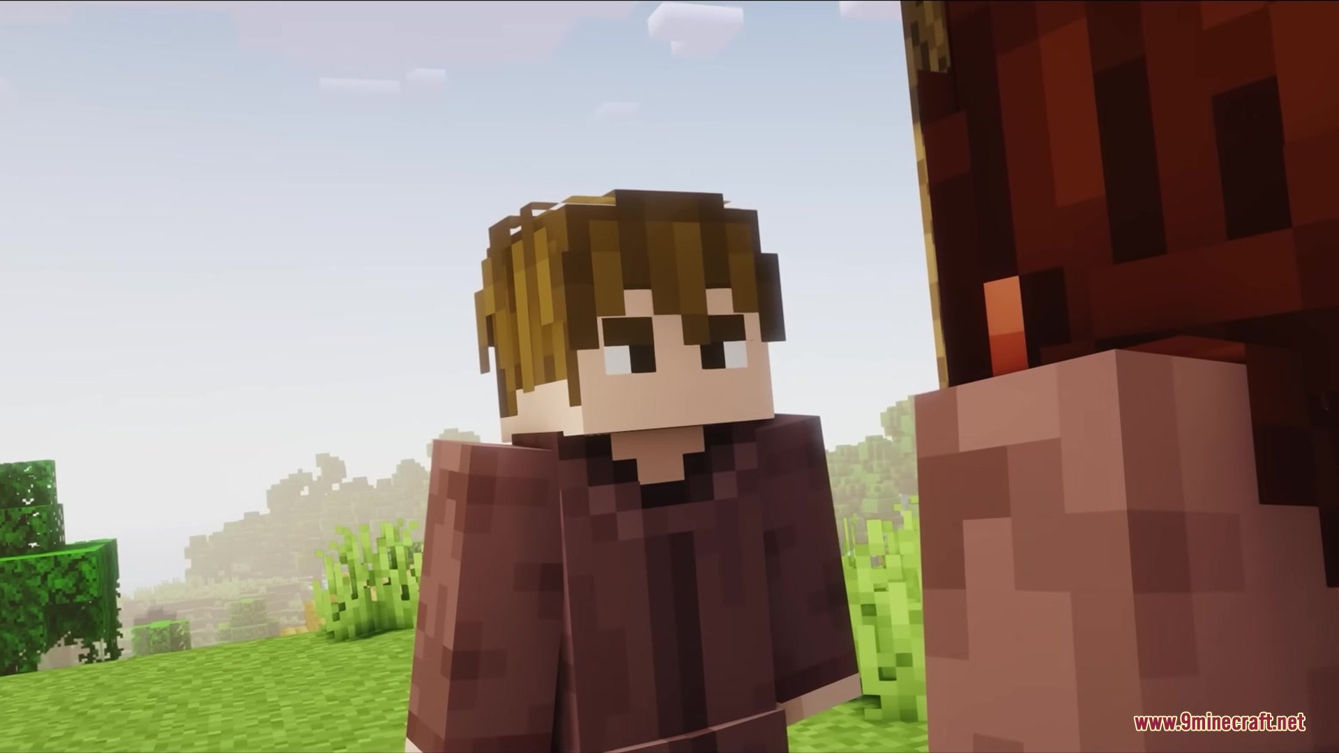 Wither Boss Summoning Animation Resource Pack Screenshot 12 Close up of a Minecraft character with brown hair wearing a brown robe