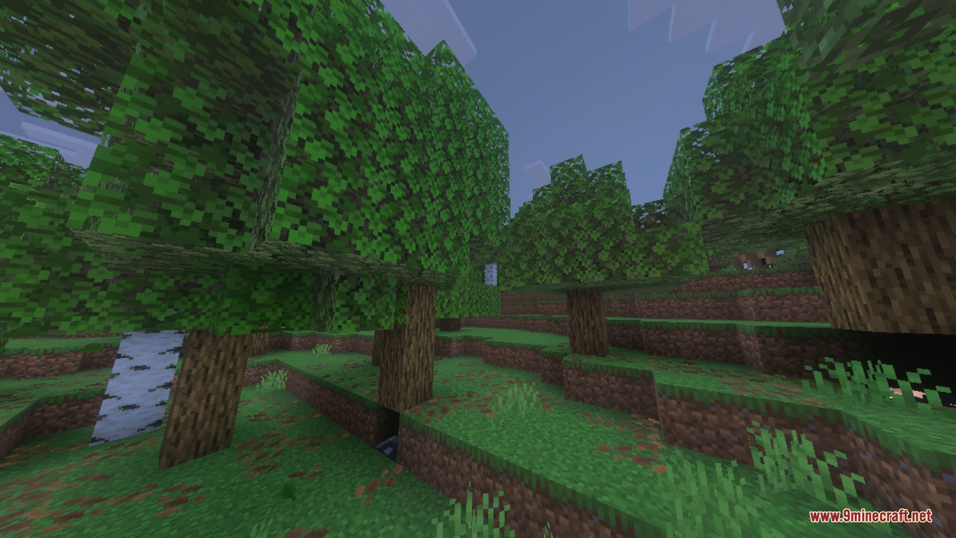 X-Ray Pluss Shader Screenshot 2