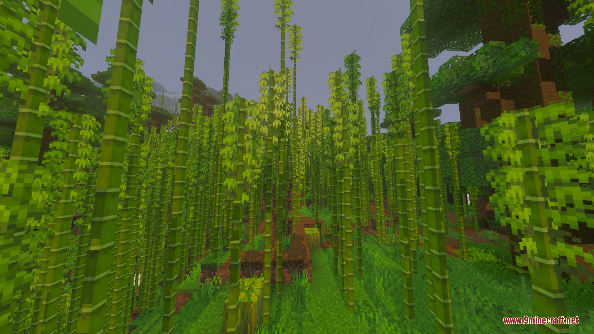 X-Ray Pluss Shader Screenshot 3
