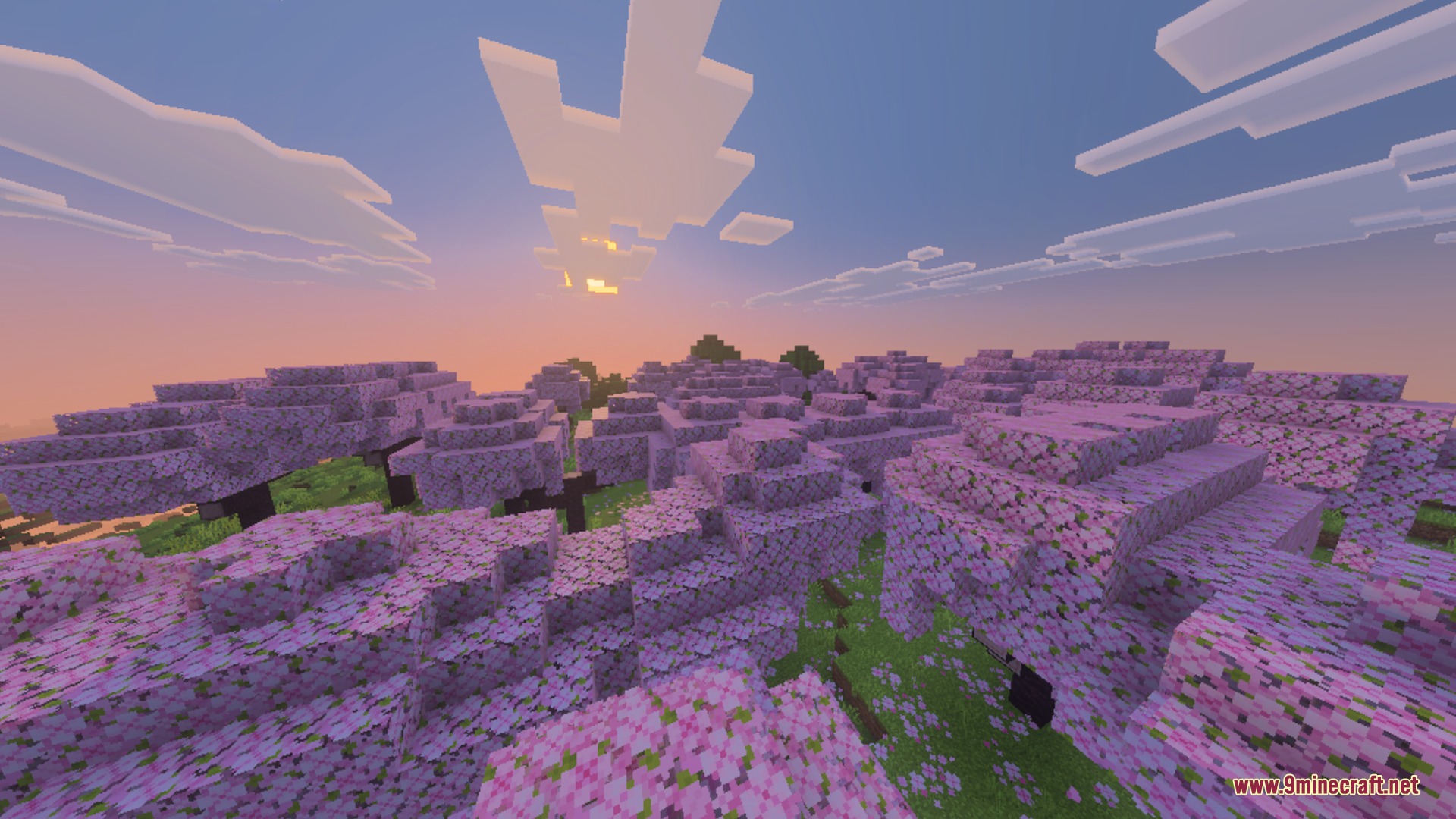 X-Ray Pluss Shader Screenshot 6
