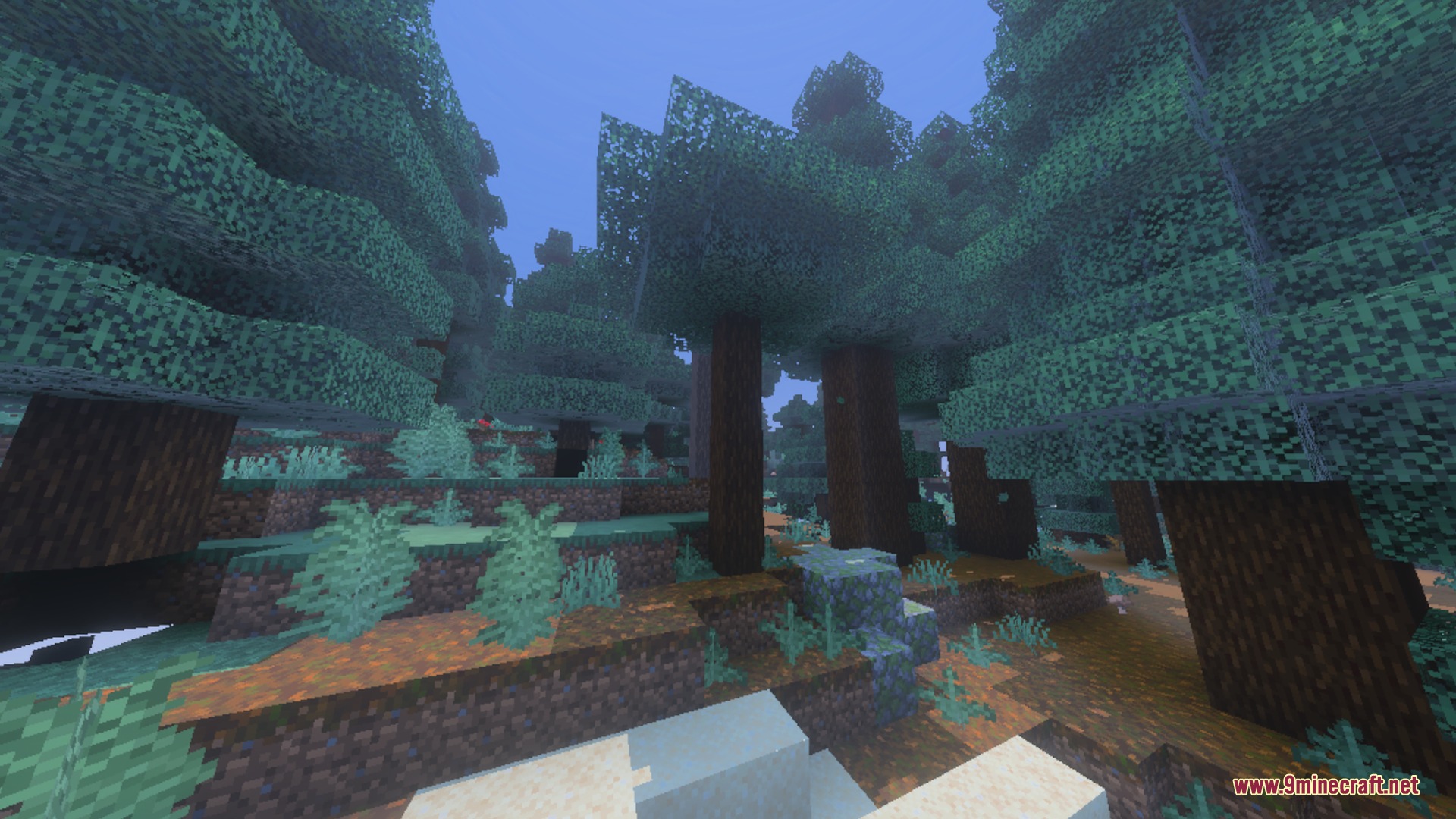 X-Ray Pluss Shader Screenshot 7