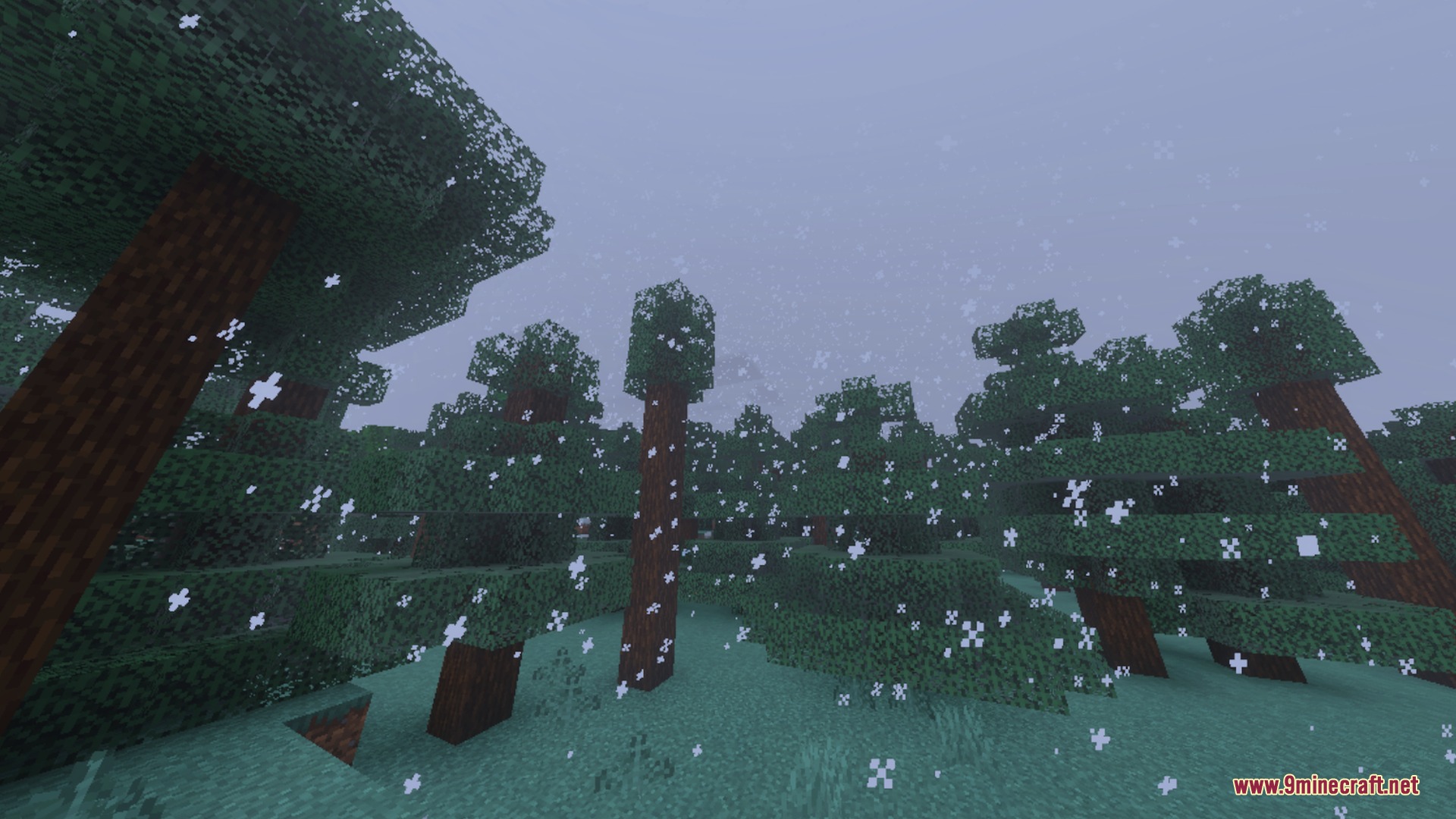 X-Ray Pluss Shader Screenshot 8