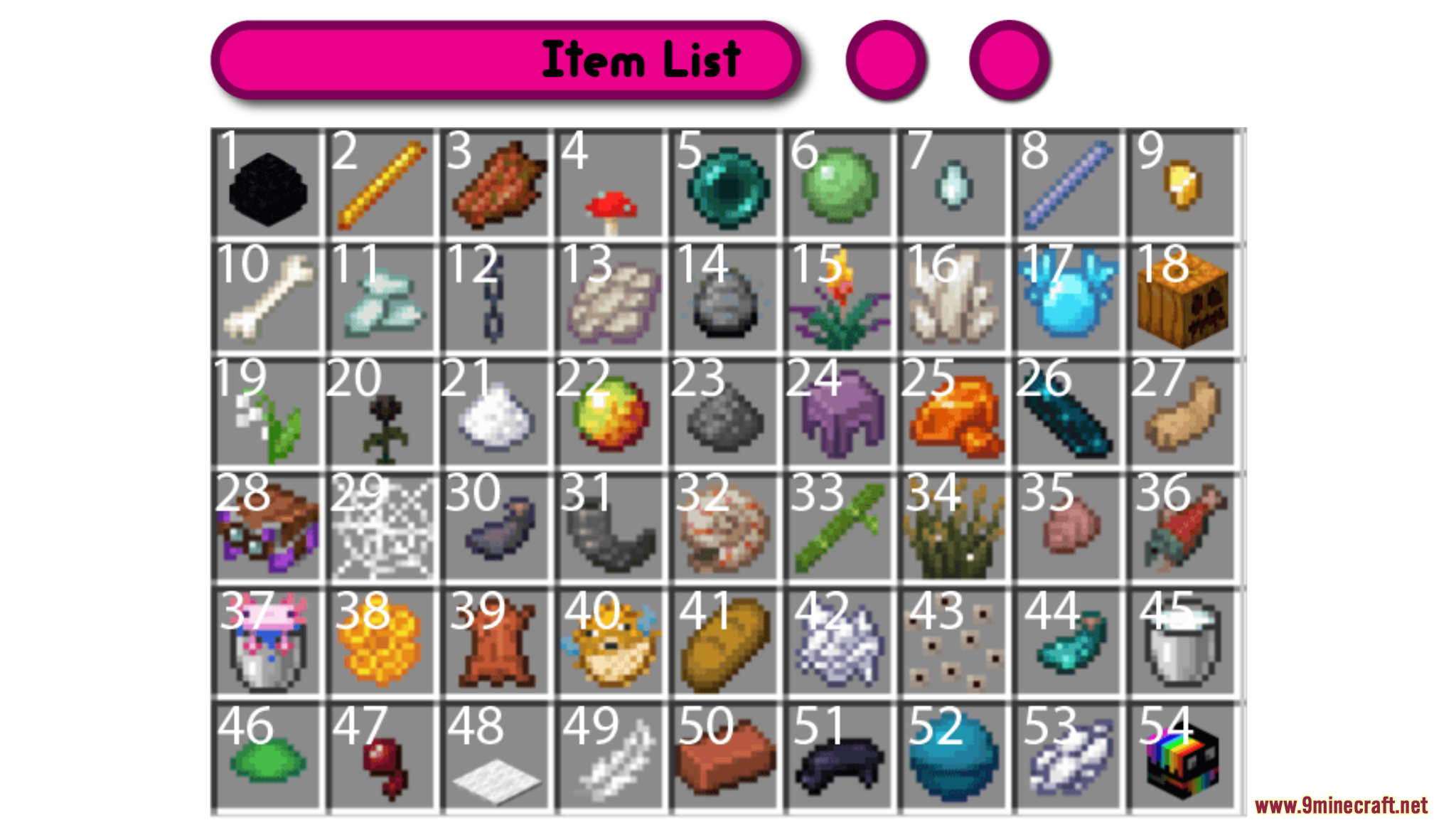 A numbered grid displaying fifty four different items for a Minecraft scavenger hunt
