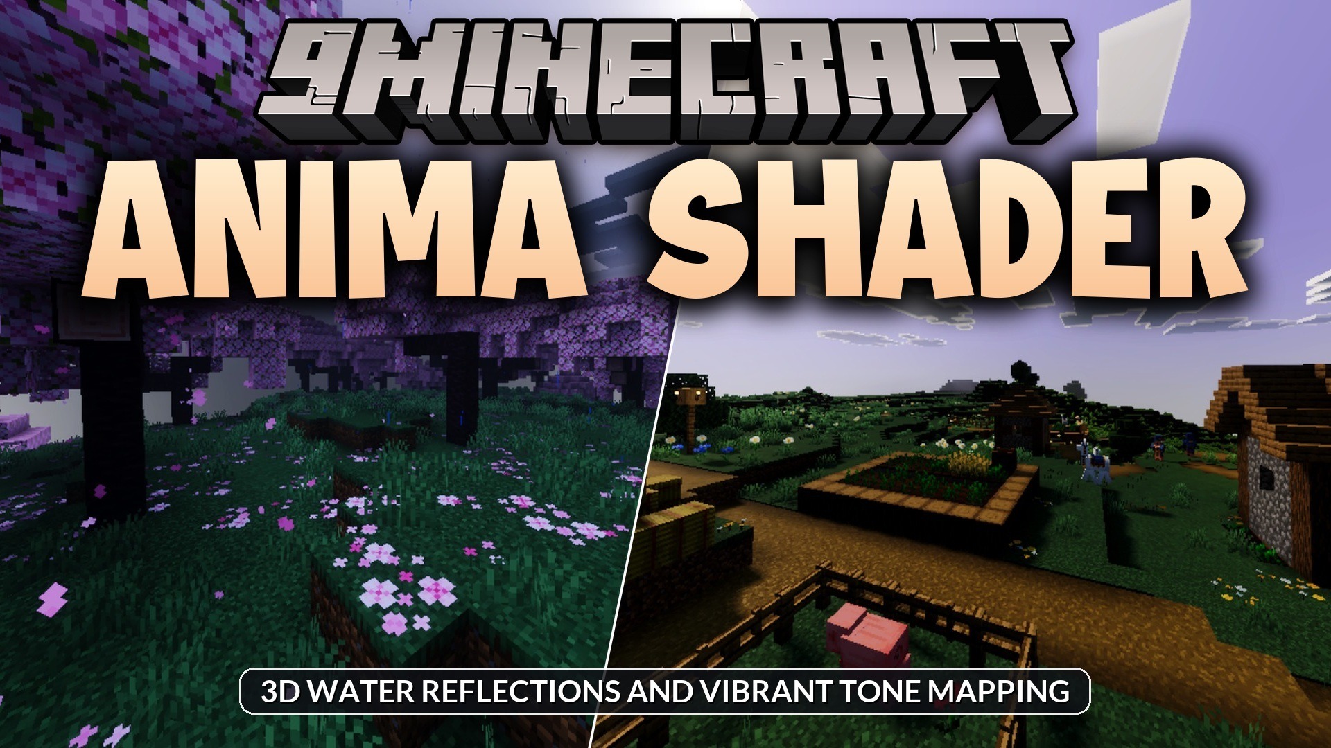 Anima Shader