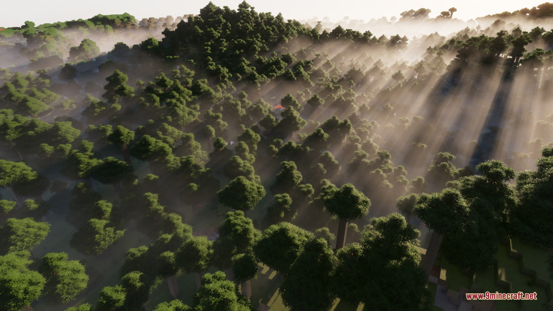 Focal Engine Screenshot 1