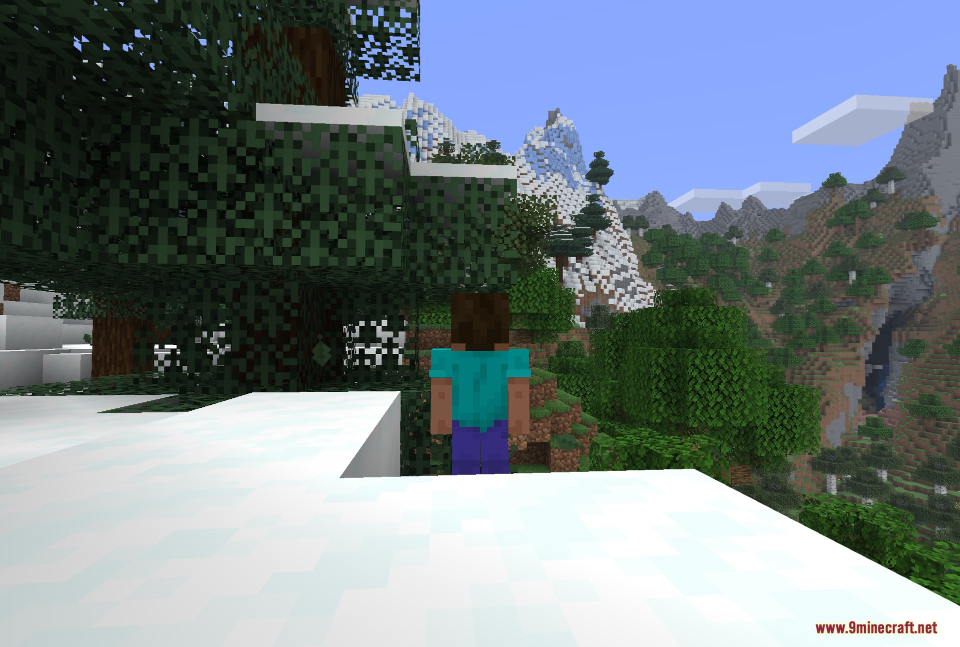 Fresh Moves 9minecraft Resource Pack (26.2, 1.21.11) – Lifelike Animations and Expressive Faces — screenshot 2