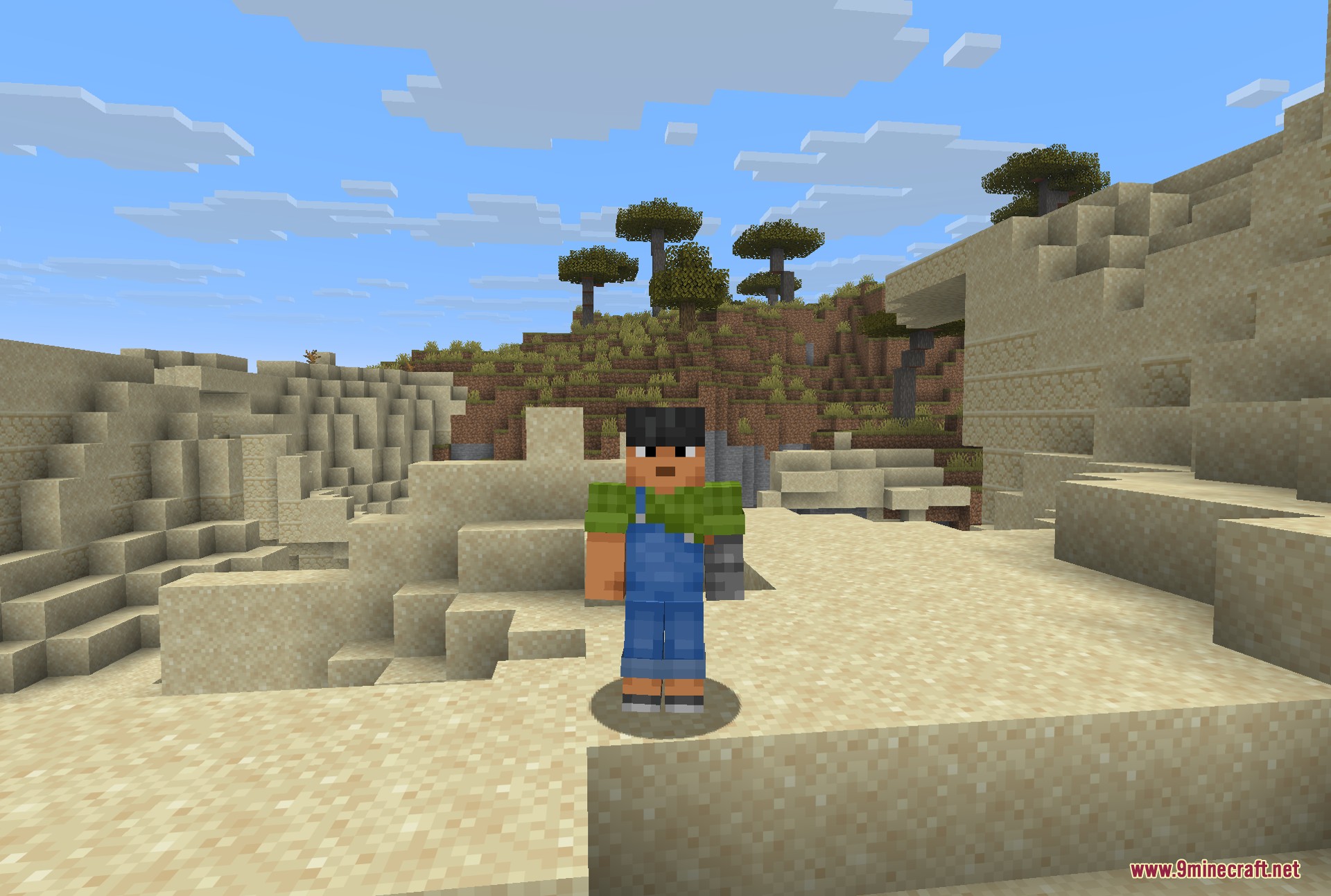 Fresh Moves 9minecraft Resource Pack (26.2, 1.21.11) – Lifelike Animations and Expressive Faces — screenshot 3