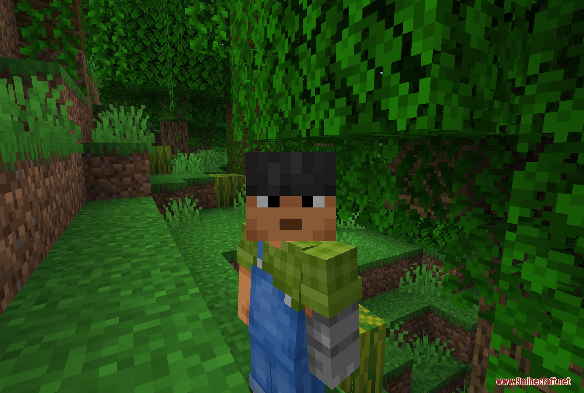 Fresh Moves 9minecraft Resource Pack (26.2, 1.21.11) – Lifelike Animations and Expressive Faces — screenshot 4