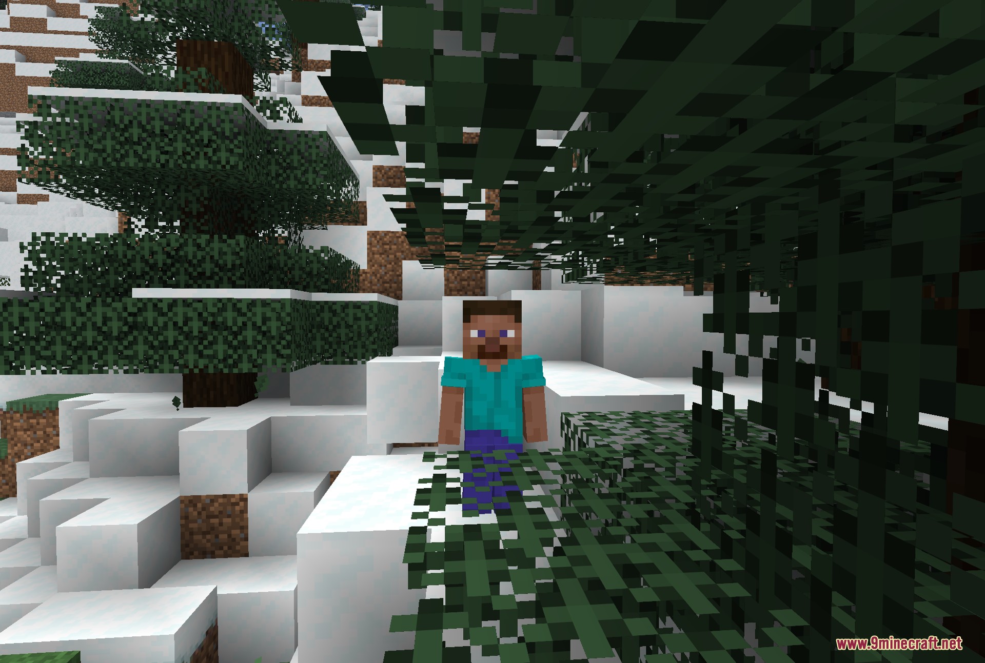 Fresh Moves 9minecraft Resource Pack (26.2, 1.21.11) – Lifelike Animations and Expressive Faces — screenshot 5