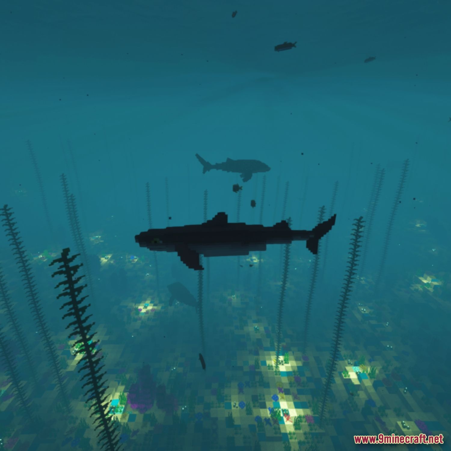 Full Sea Animals Bundle Model screenshot 2