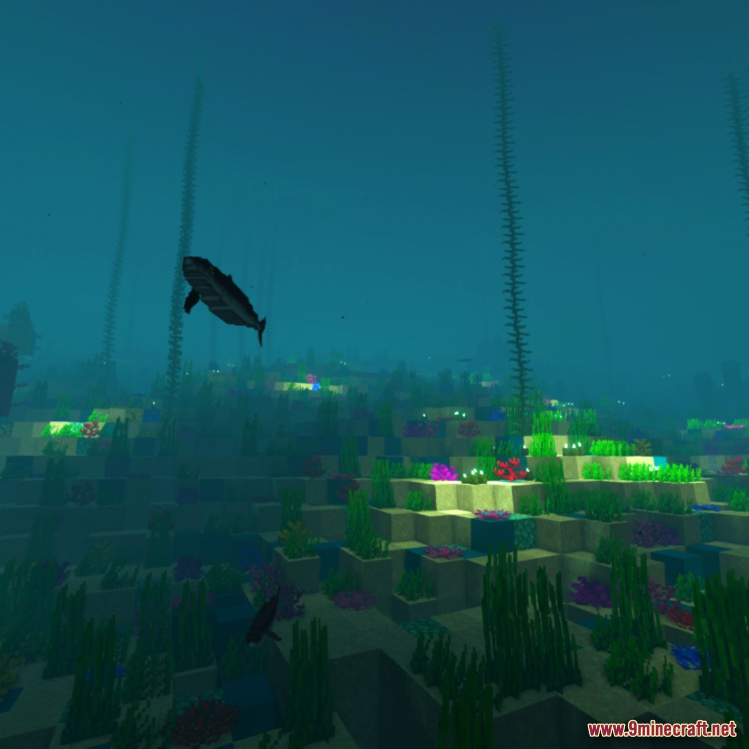 Full Sea Animals Bundle Model screenshot 3