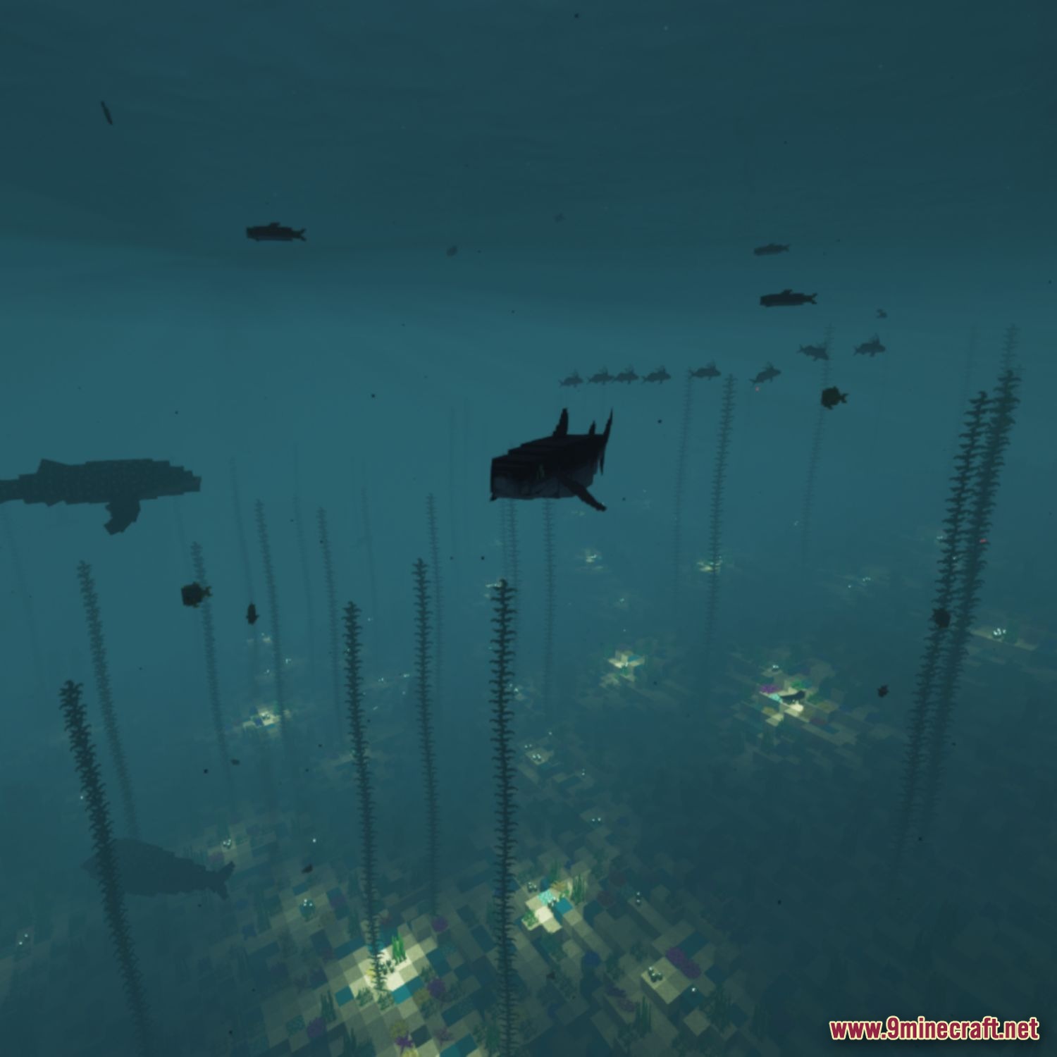 Full Sea Animals Bundle Model screenshot 4