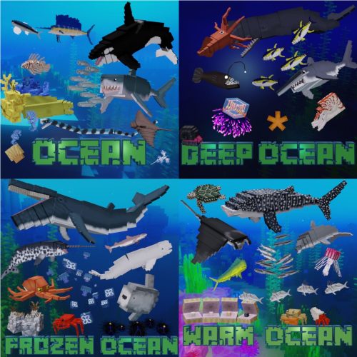 Full Sea Animals Bundle Model Thumbnail