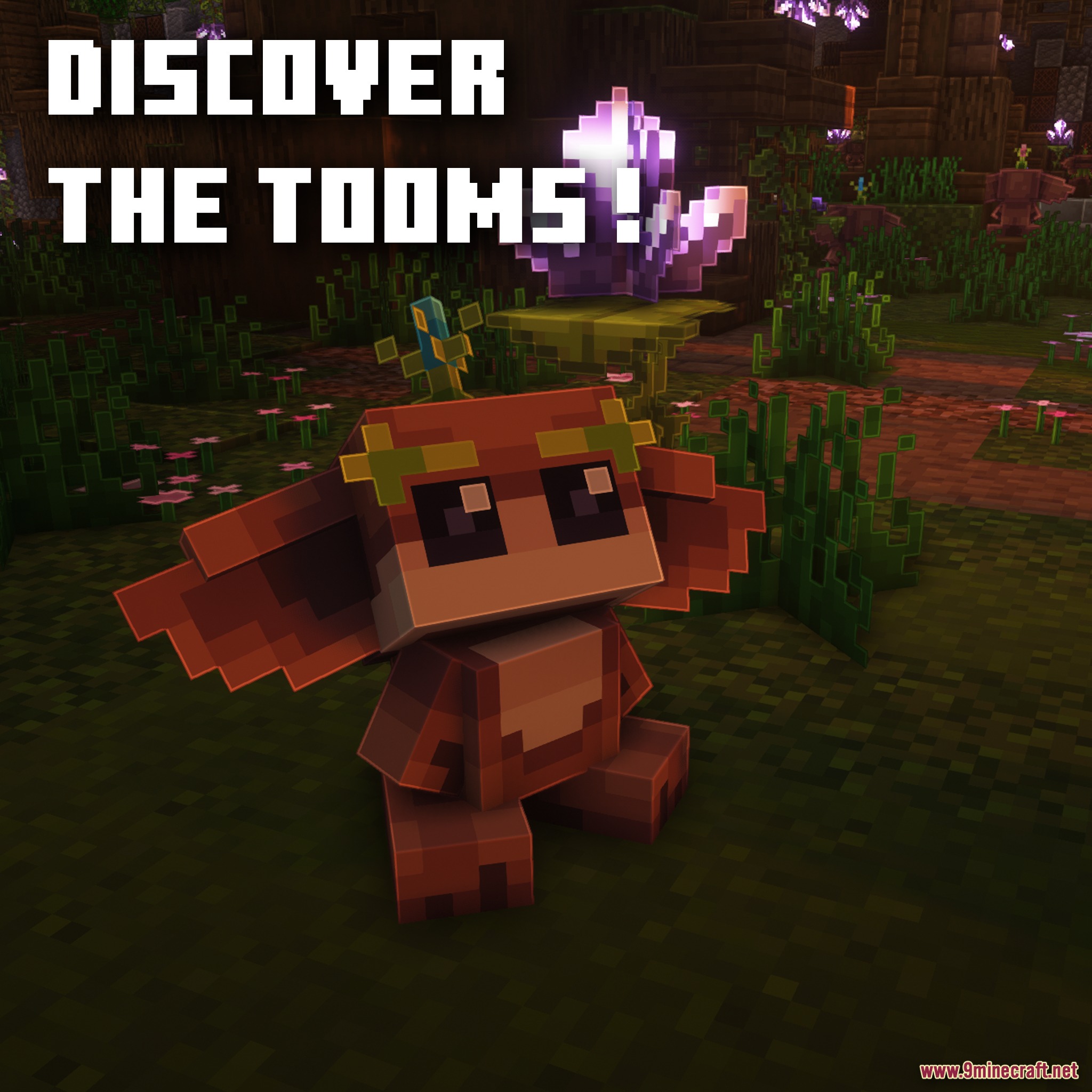 The Tooms Model screenshot 1