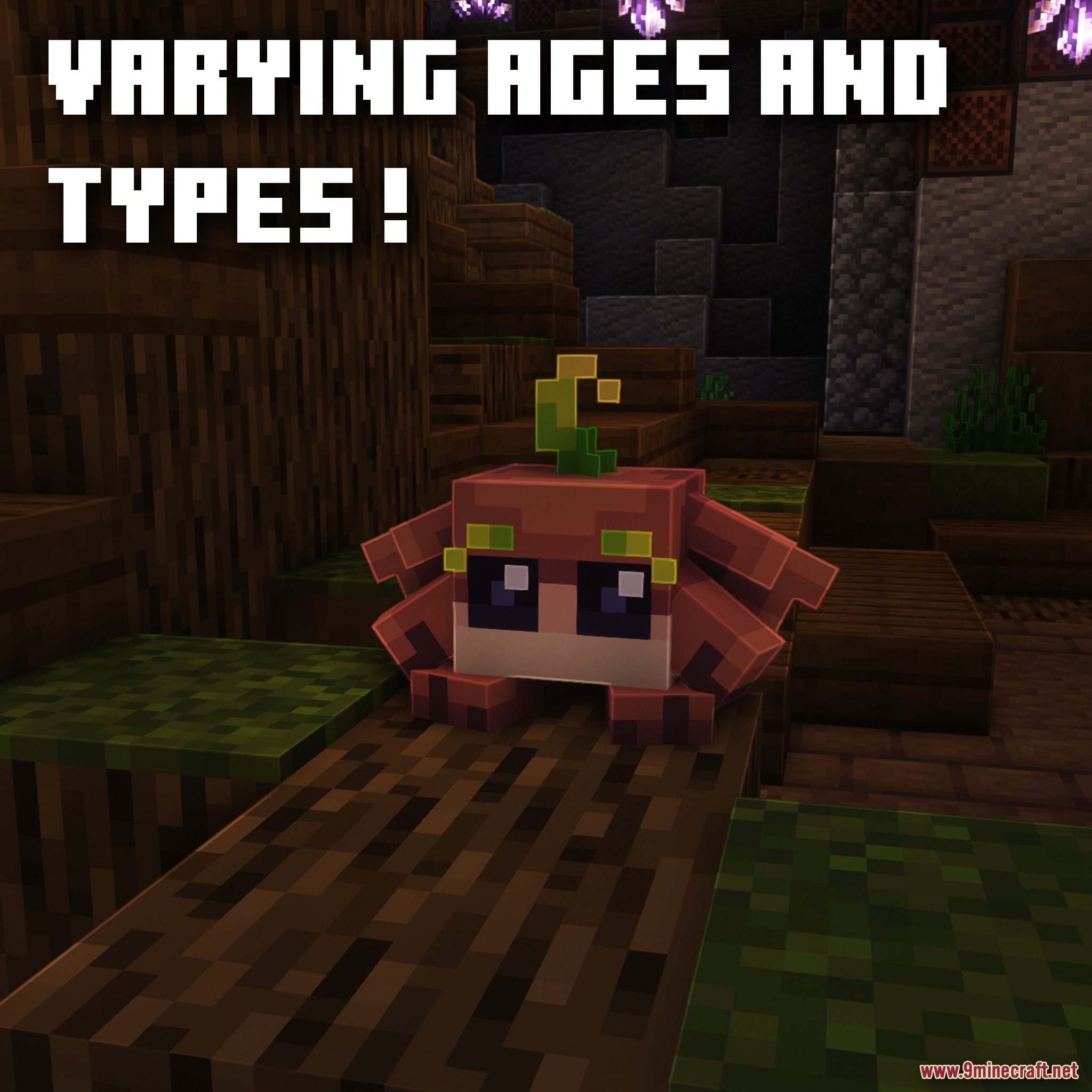 The Tooms Model screenshot 3