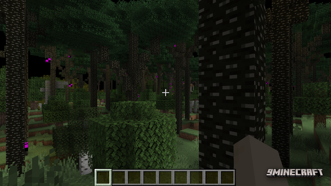 Deep inside the dark twilight canopy where giant trees blot out the sky