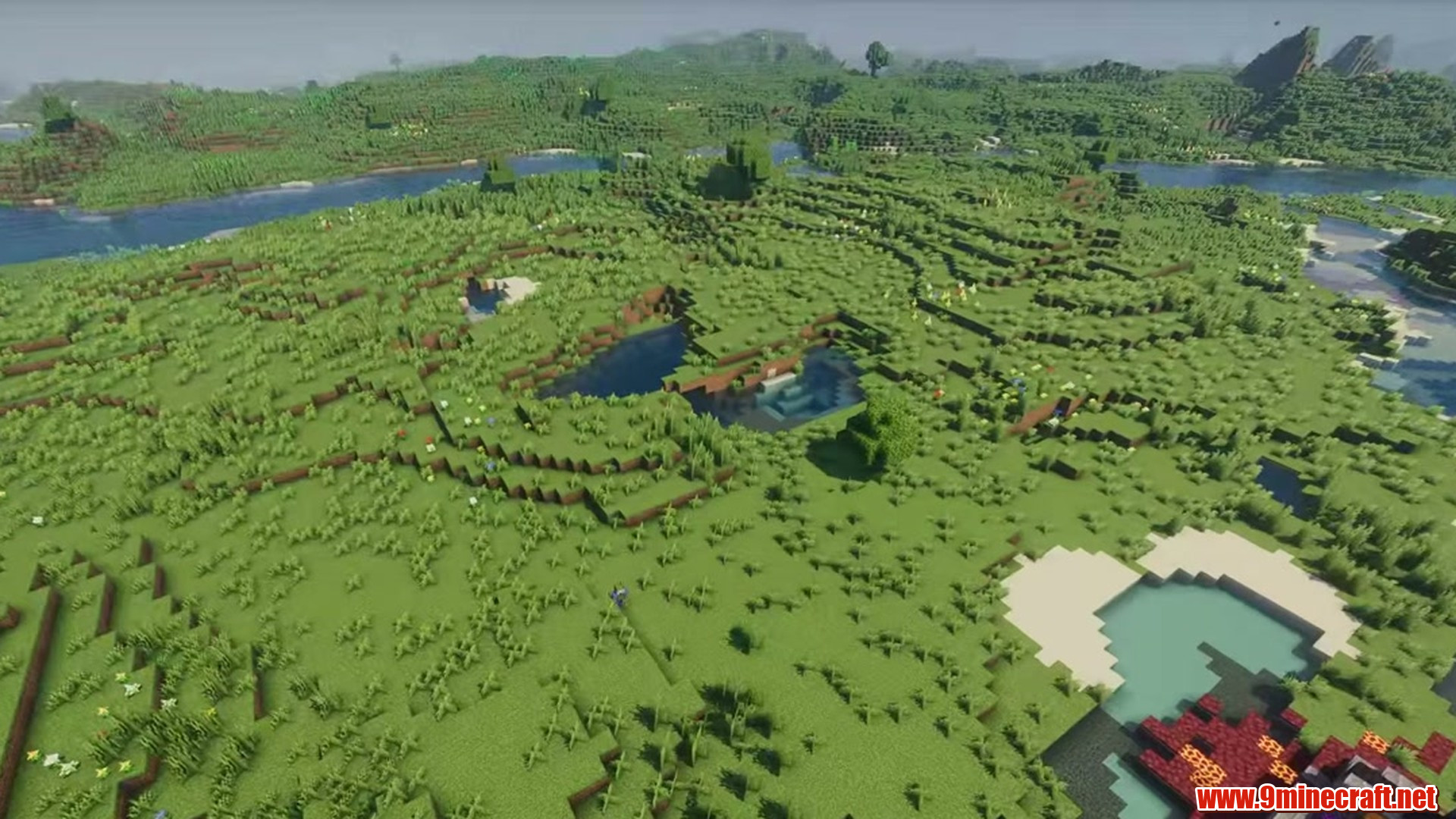 Perfect Flat Seed 1 View 2