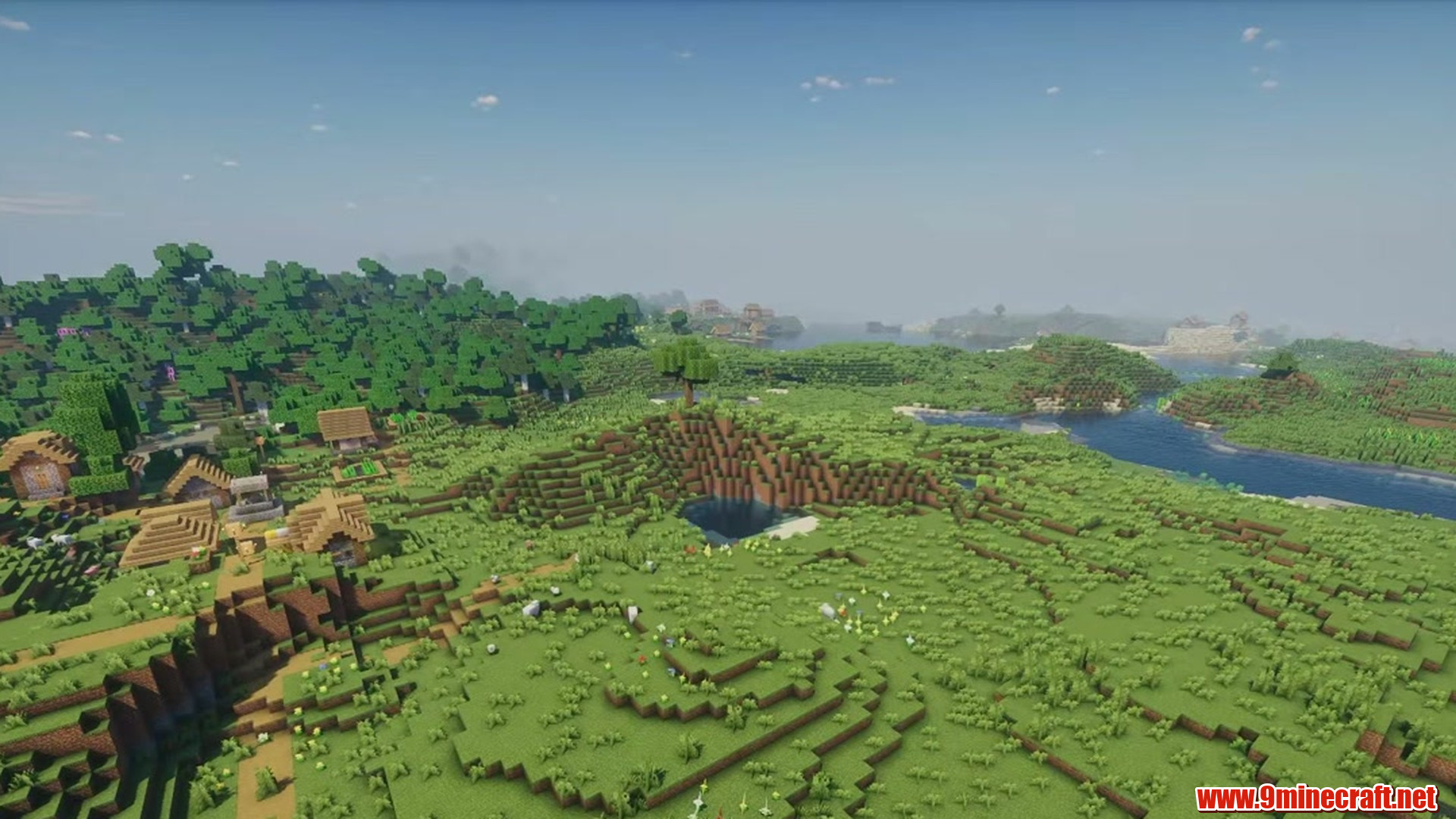 Perfect Flat Seed 1 View 3